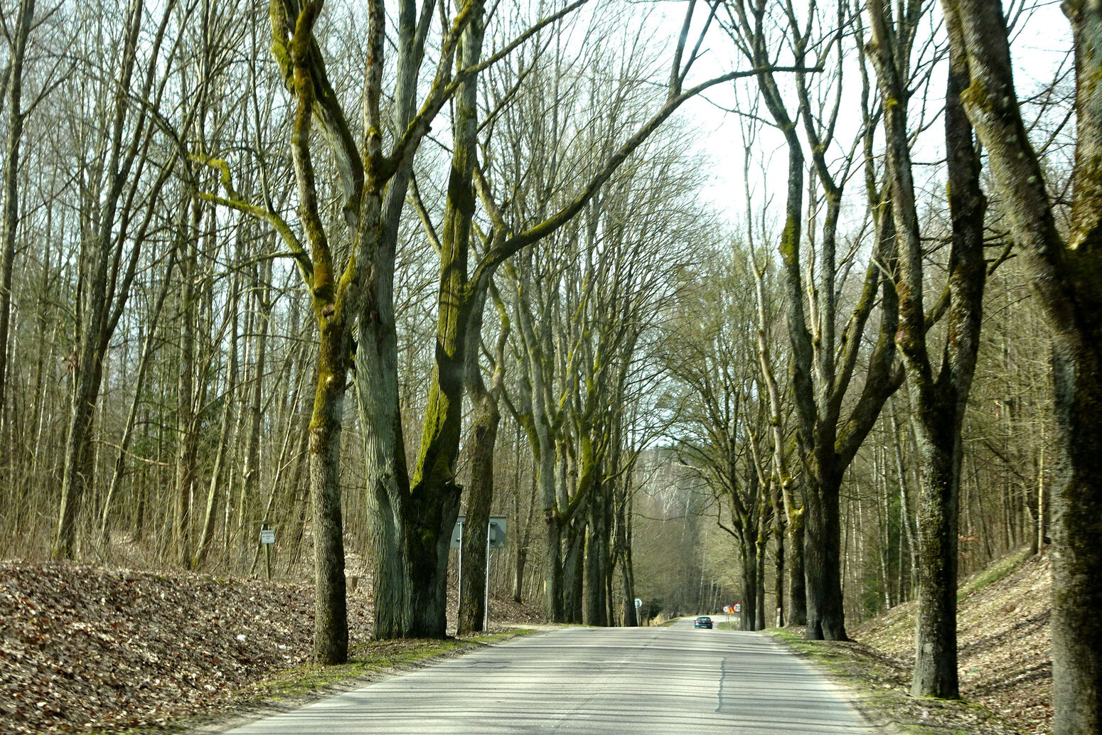 Mare Baltikum Reisen, Christine Salten, Andres Vainumäe, Individualreisen, Gruppenreisen, PKW-Rundreisen, Fahrradtouren, Naturbeobachtung, Vogelbeobachtung, Wanderreisen, Baltikum, Estland, Lettland, Litauen, Polen, Skandinavien, Schweden, Stockholm, Russland, St. Petersburg, Tallinn, Winterreisen, Finnland, Riga, Helsinki, Vilnius, Stockholm, Städtereise, Ostseekurzreisen, Norwegen, Hurtigruten, Oslo, Bergen, Ostseeurlaub, Kurische Nehrung, Memel, Klaipeda, Aktivreisen, Spezialveranstalter, Baltikum, Kaliningrader Gebiet, Königsberg, Strandurlaub, Ostseefähren, Kreuzfahrten Ostsee, Mare Baltikum, Tagesausflüge, Moorwanderung, Lappland, Skigebiet Ylläs, Flughafen Kittilä