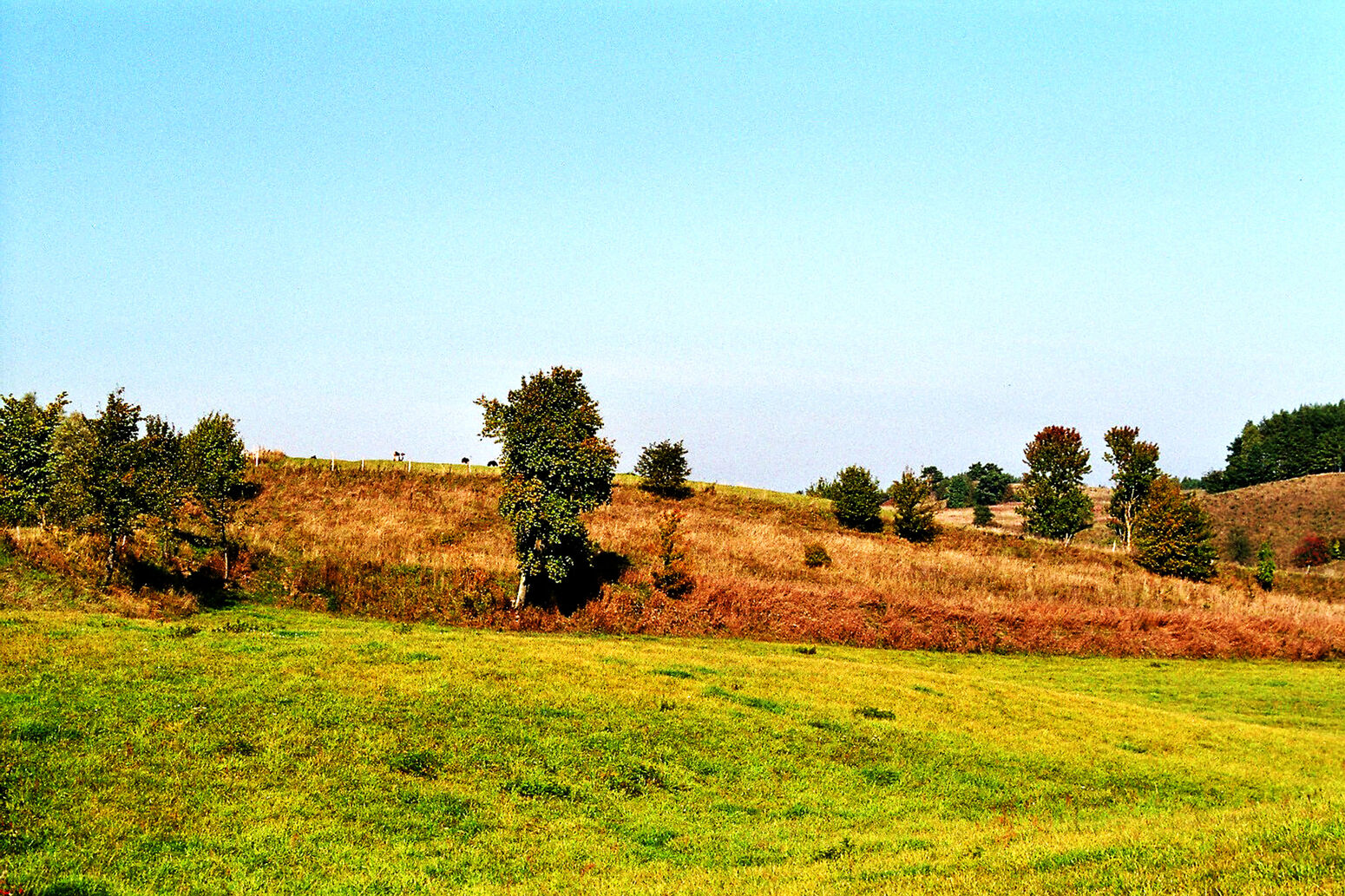 Mare Baltikum Reisen, Christine Salten, Andres Vainumäe, Individualreisen, Gruppenreisen, PKW-Rundreisen, Fahrradtouren, Naturbeobachtung, Vogelbeobachtung, Wanderreisen, Baltikum, Estland, Lettland, Litauen, Polen, Skandinavien, Schweden, Stockholm, Russland, St. Petersburg, Tallinn, Winterreisen, Finnland, Riga, Helsinki, Vilnius, Stockholm, Städtereise, Ostseekurzreisen, Norwegen, Hurtigruten, Oslo, Bergen, Ostseeurlaub, Kurische Nehrung, Memel, Klaipeda, Aktivreisen, Spezialveranstalter, Baltikum, Kaliningrader Gebiet, Königsberg, Strandurlaub, Ostseefähren, Kreuzfahrten Ostsee, Mare Baltikum, Tagesausflüge, Moorwanderung, Lappland, Skigebiet Ylläs, Flughafen Kittilä