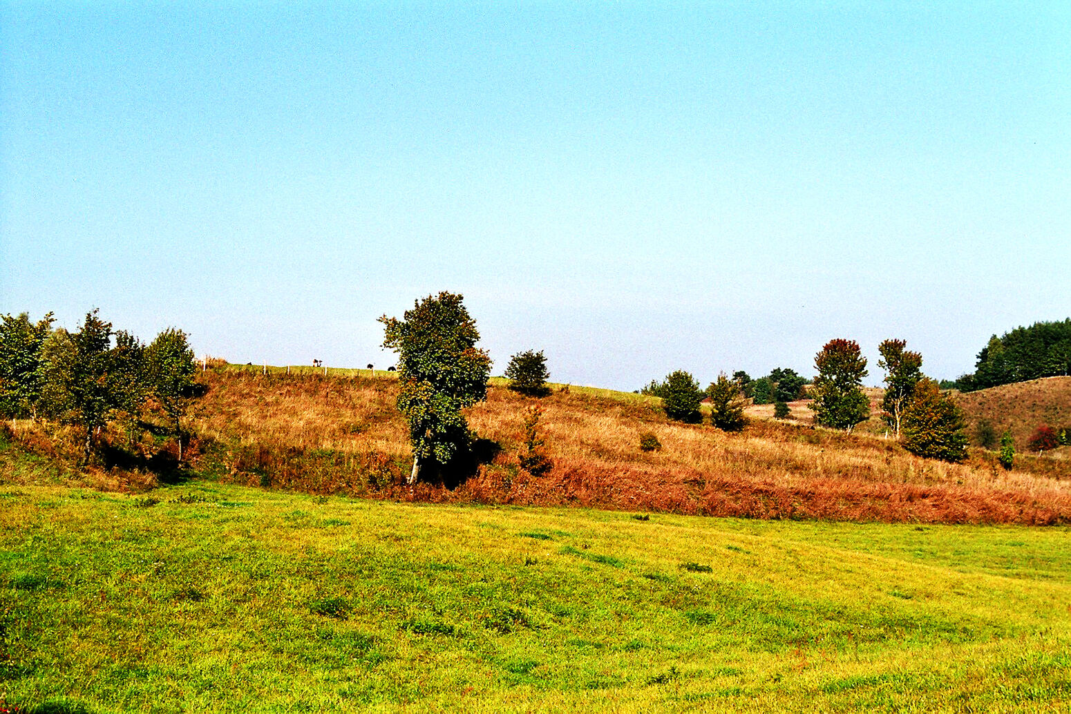 Mare Baltikum Reisen, Christine Salten, Andres Vainumäe, Individualreisen, Gruppenreisen, PKW-Rundreisen, Fahrradtouren, Naturbeobachtung, Vogelbeobachtung, Wanderreisen, Baltikum, Estland, Lettland, Litauen, Polen, Skandinavien, Schweden, Stockholm, Russland, St. Petersburg, Tallinn, Winterreisen, Finnland, Riga, Helsinki, Vilnius, Stockholm, Städtereise, Ostseekurzreisen, Norwegen, Hurtigruten, Oslo, Bergen, Ostseeurlaub, Kurische Nehrung, Memel, Klaipeda, Aktivreisen, Spezialveranstalter, Baltikum, Kaliningrader Gebiet, Königsberg, Strandurlaub, Ostseefähren, Kreuzfahrten Ostsee, Mare Baltikum, Tagesausflüge, Moorwanderung, Lappland, Skigebiet Ylläs, Flughafen Kittilä