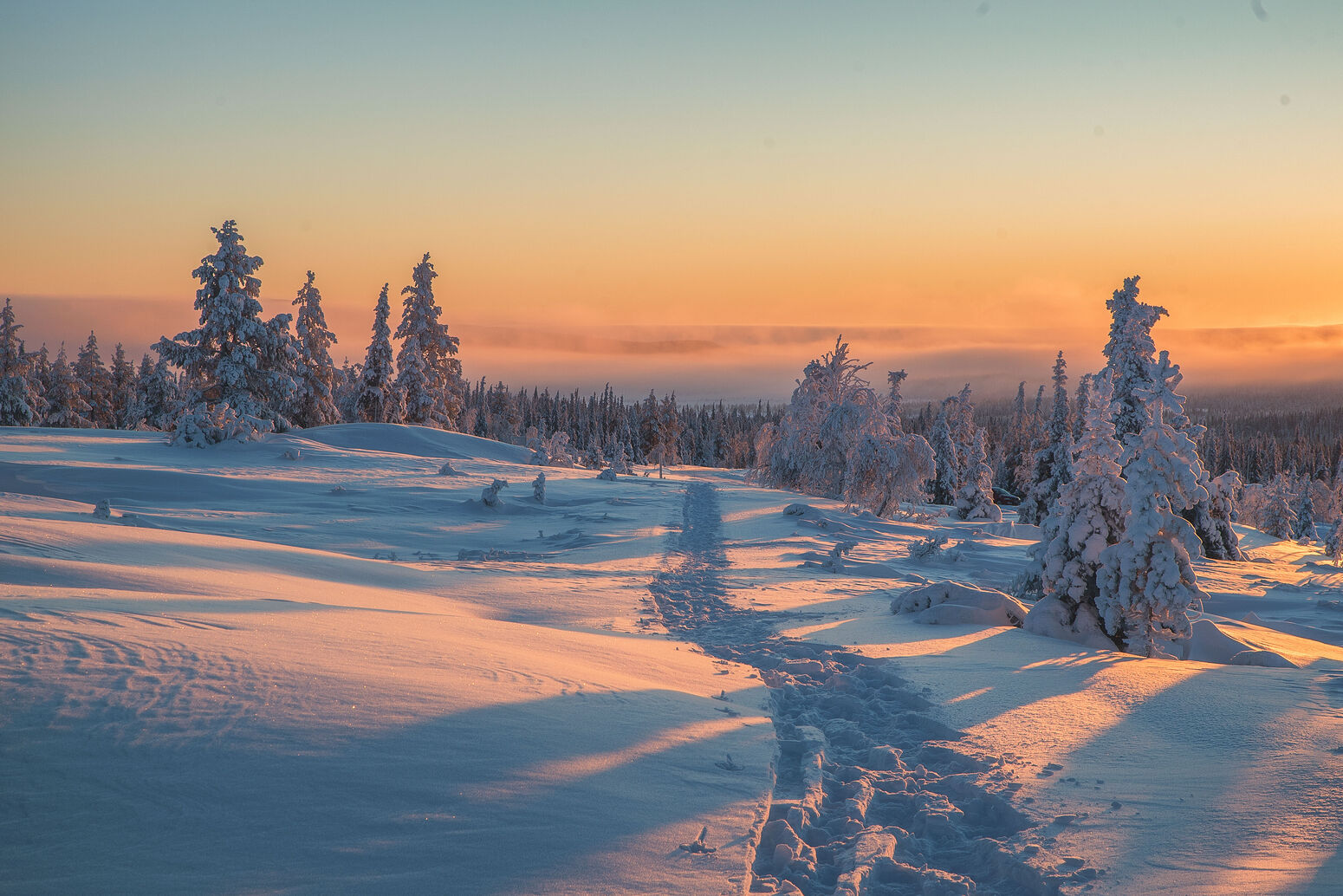 antti pietikäinen, harriniva, harriniva 2017, pallas 2017, snowshoe