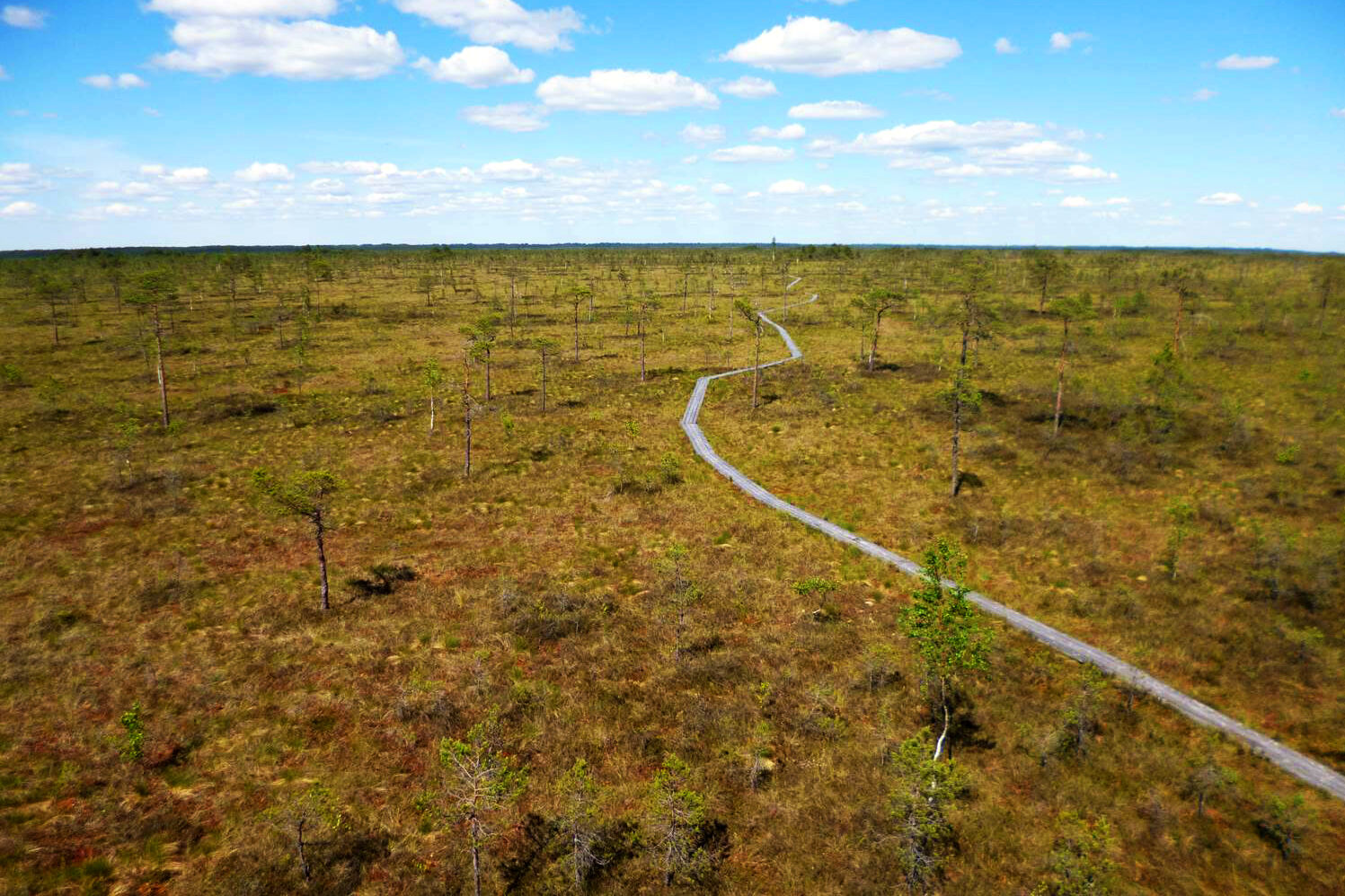 Mare Baltikum Reisen, Christine Salten, Andres Vainumäe, Individualreisen, Gruppenreisen, PKW-Rundreisen, Fahrradtouren, Naturbeobachtung, Vogelbeobachtung, Wanderreisen, Baltikum, Estland, Lettland, Litauen, Polen, Skandinavien, Schweden, Stockholm, Russland, St. Petersburg, Tallinn, Winterreisen, Finnland, Riga, Helsinki, Vilnius, Stockholm, Städtereise, Ostseekurzreisen, Norwegen, Hurtigruten, Oslo, Bergen, Ostseeurlaub, Kurische Nehrung, Memel, Klaipeda, Aktivreisen, Spezialveranstalter, Baltikum, Kaliningrader Gebiet, Königsberg, Strandurlaub, Ostseefähren, Kreuzfahrten Ostsee, Mare Baltikum, Tagesausflüge, Moorwanderung, Lappland, Skigebiet Ylläs, Flughafen Kittilä