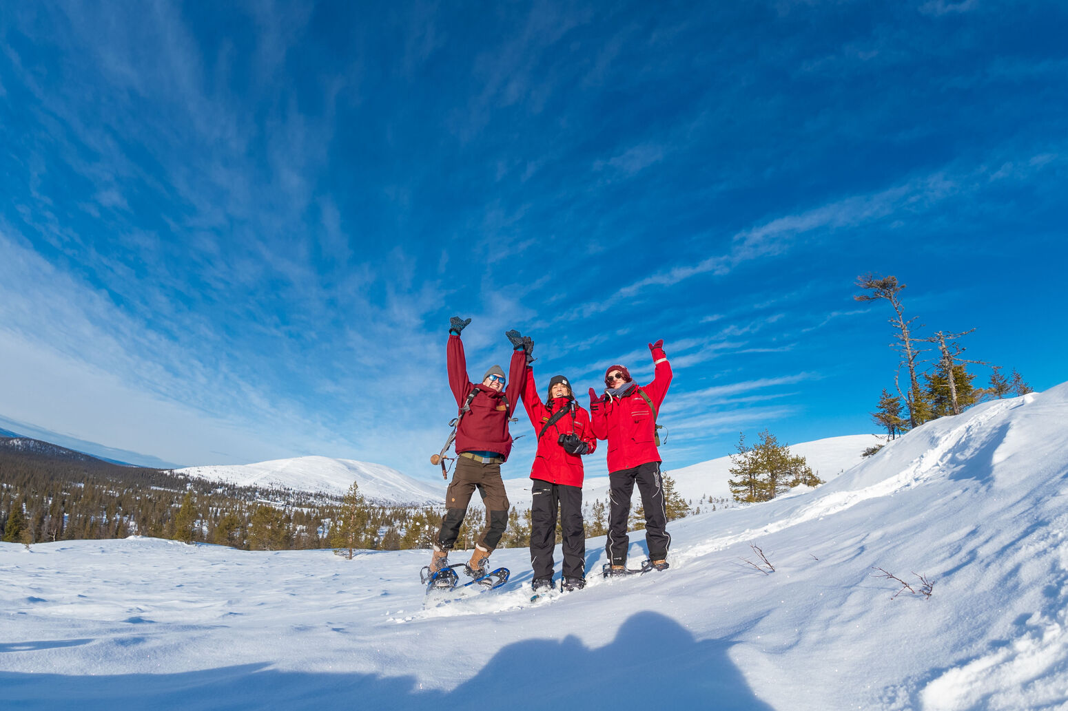 harriniva, harriniva 2019, pallas, snowshoe, spring 2019, winter