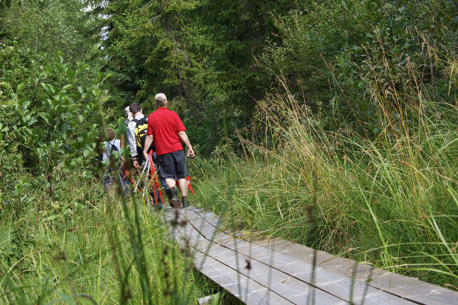 Mare Baltikum Reisen, Christine Salten, Andres Vainumäe, Individualreisen, Gruppenreisen, PKW-Rundreisen, Fahrradtouren, Naturbeobachtung, Vogelbeobachtung, Wanderreisen, Baltikum, Estland, Lettland, Litauen, Polen, Skandinavien, Schweden, Stockholm, Russland, St. Petersburg, Tallinn, Winterreisen, Finnland, Riga, Helsinki, Vilnius, Stockholm, Städtereise, Ostseekurzreisen, Norwegen, Hurtigruten, Oslo, Bergen, Ostseeurlaub, Kurische Nehrung, Memel, Klaipeda, Aktivreisen, Spezialveranstalter, Baltikum, Kaliningrader Gebiet, Königsberg, Strandurlaub, Ostseefähren, Kreuzfahrten Ostsee, Mare Baltikum, Tagesausflüge, Moorwanderung, Lappland, Skigebiet Ylläs, Flughafen Kittilä