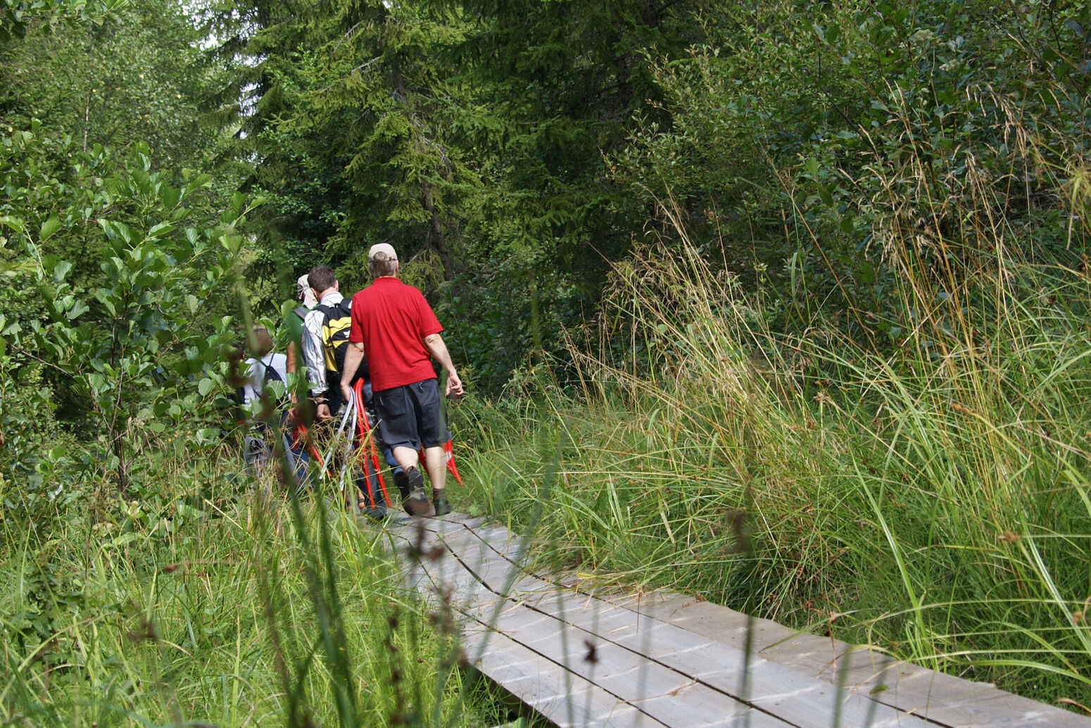 Mare Baltikum Reisen, Christine Salten, Andres Vainumäe, Individualreisen, Gruppenreisen, PKW-Rundreisen, Fahrradtouren, Naturbeobachtung, Vogelbeobachtung, Wanderreisen, Baltikum, Estland, Lettland, Litauen, Polen, Skandinavien, Schweden, Stockholm, Russland, St. Petersburg, Tallinn, Winterreisen, Finnland, Riga, Helsinki, Vilnius, Stockholm, Städtereise, Ostseekurzreisen, Norwegen, Hurtigruten, Oslo, Bergen, Ostseeurlaub, Kurische Nehrung, Memel, Klaipeda, Aktivreisen, Spezialveranstalter, Baltikum, Kaliningrader Gebiet, Königsberg, Strandurlaub, Ostseefähren, Kreuzfahrten Ostsee, Mare Baltikum, Tagesausflüge, Moorwanderung, Lappland, Skigebiet Ylläs, Flughafen Kittilä