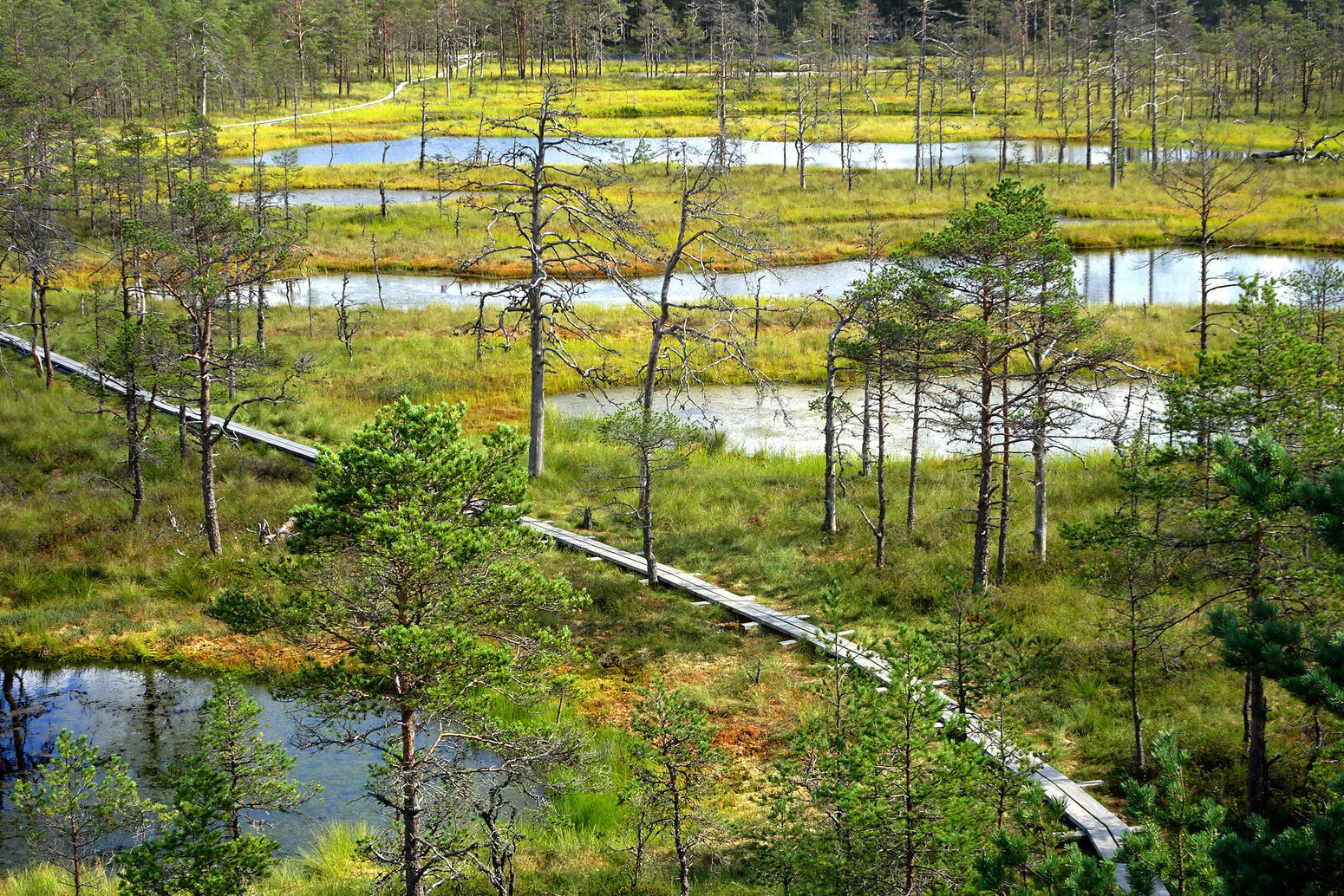 Mare Baltikum Reisen