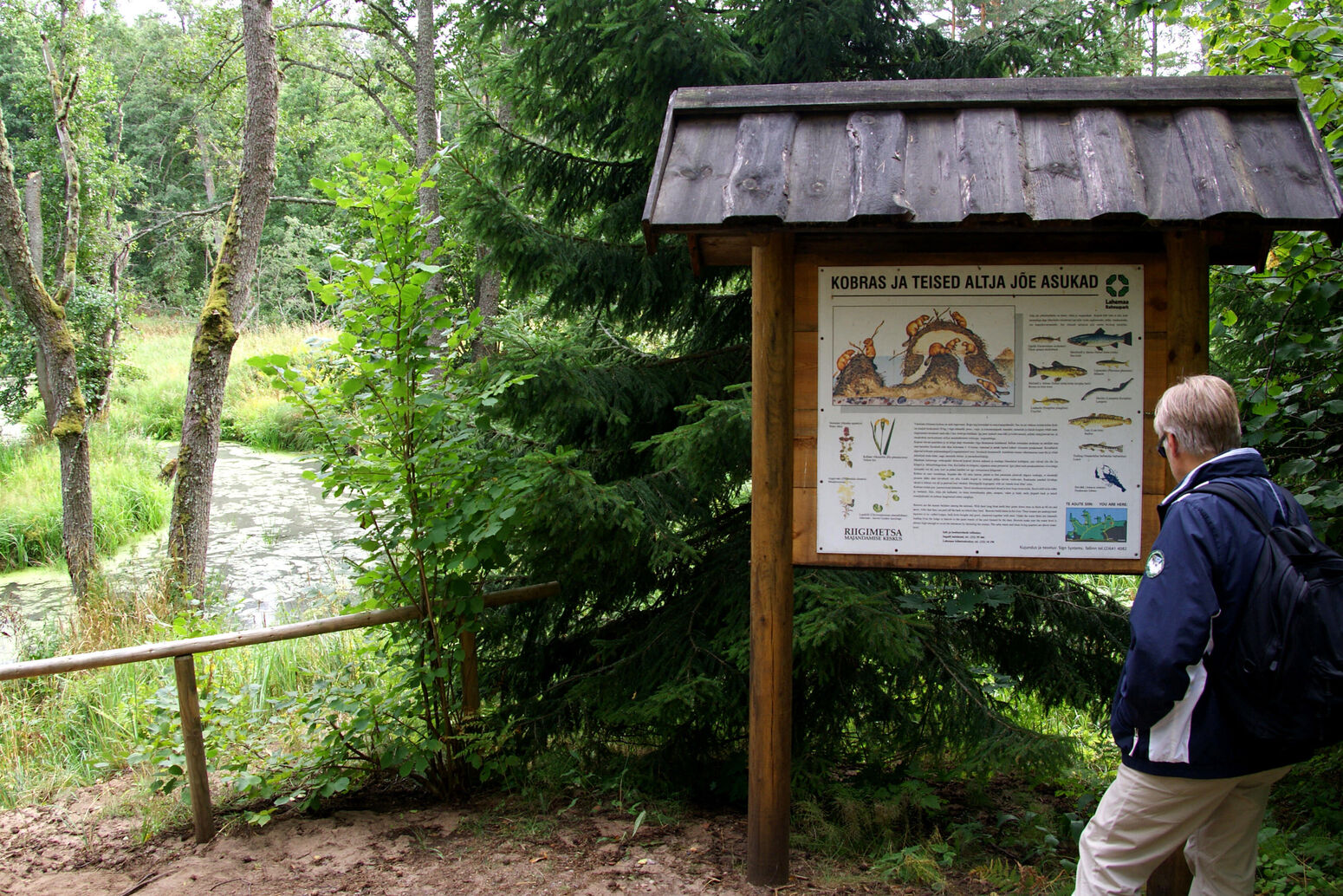 Mare Baltikum Reisen