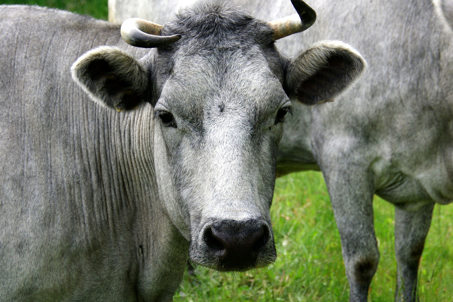 Mare Baltikum Reisen, Christine Salten, Andres Vainumäe, Individualreisen, Gruppenreisen, PKW-Rundreisen, Fahrradtouren, Naturbeobachtung, Vogelbeobachtung, Wanderreisen, Baltikum, Estland, Lettland, Litauen, Polen, Skandinavien, Schweden, Stockholm, Russland, St. Petersburg, Tallinn, Winterreisen, Finnland, Riga, Helsinki, Vilnius, Stockholm, Städtereise, Ostseekurzreisen, Norwegen, Hurtigruten, Oslo, Bergen, Ostseeurlaub, Kurische Nehrung, Memel, Klaipeda, Aktivreisen, Spezialveranstalter, Baltikum, Kaliningrader Gebiet, Königsberg, Strandurlaub, Ostseefähren, Kreuzfahrten Ostsee, Mare Baltikum, Tagesausflüge, Moorwanderung, Lappland, Skigebiet Ylläs, Flughafen Kittilä