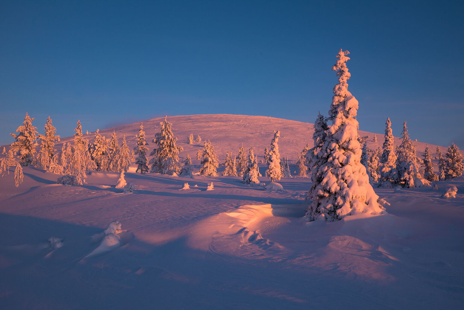 antti pietikäinen, harriniva, harriniva 2017, pallas 2017, snowshoe