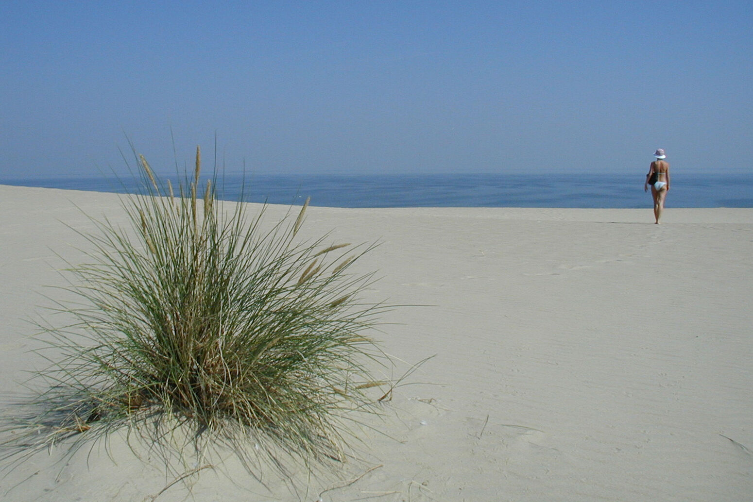 Mare Baltikum Reisen, Litauen, Klaipeda, DFDS-Fähre, Kiel, Klaipeda, Bernstein, Thomas Mann, Hexenberg, Wandern, Fahrrad fahren, Vogelbeobachtung, Memeldelta, Windenburger Eck, Vente, Silute, Rusne, Memeländer