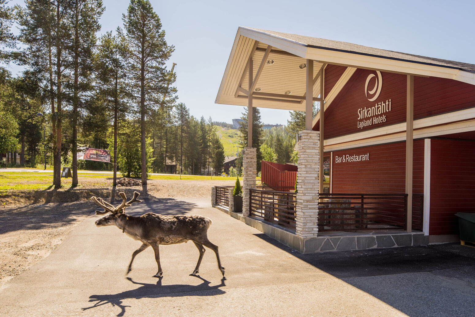 Kotikuvia 2014, Sirkantähti kesä ulko, kesäloma 2014, scandic aamiainen