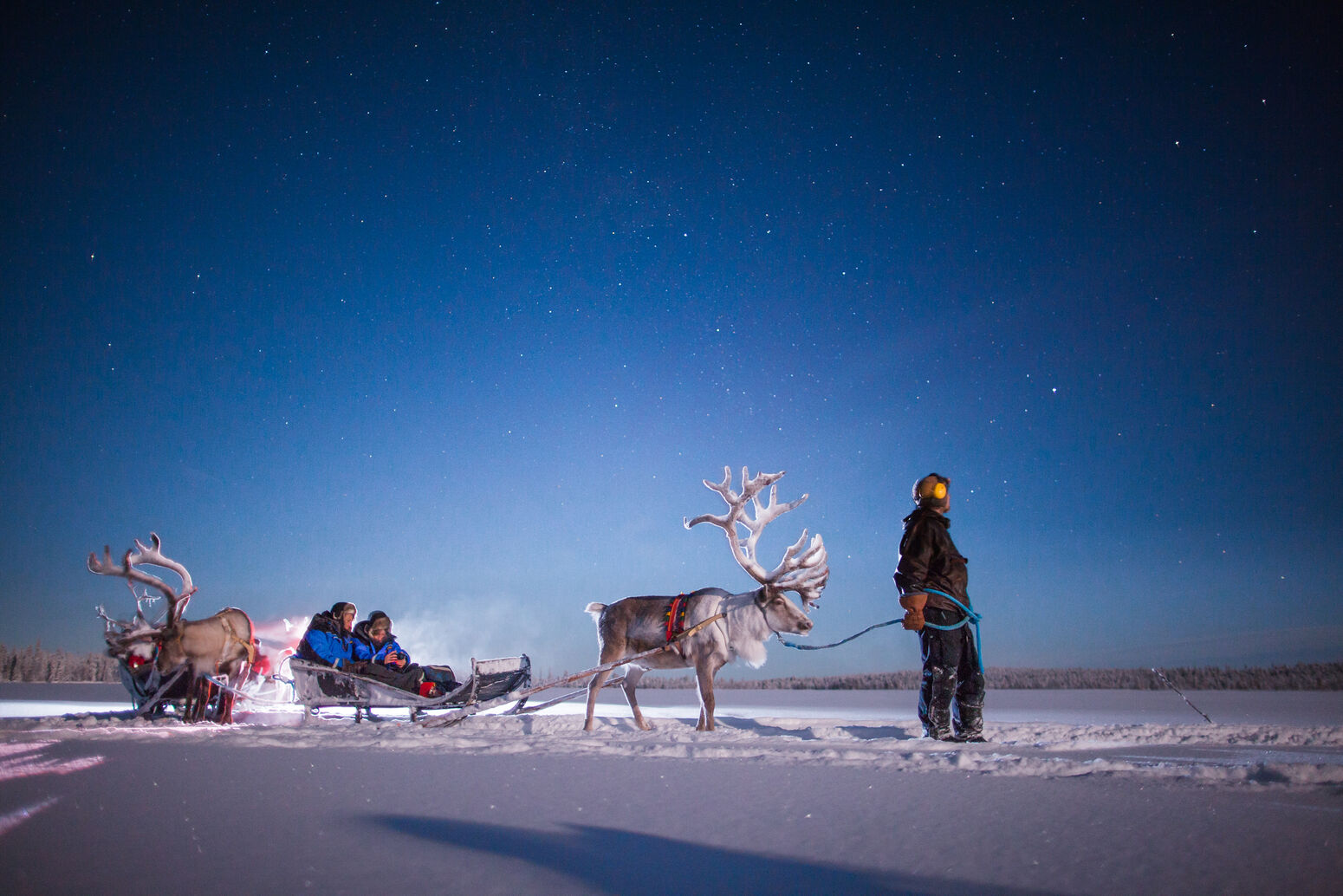 northern lights reindeer, torassieppi