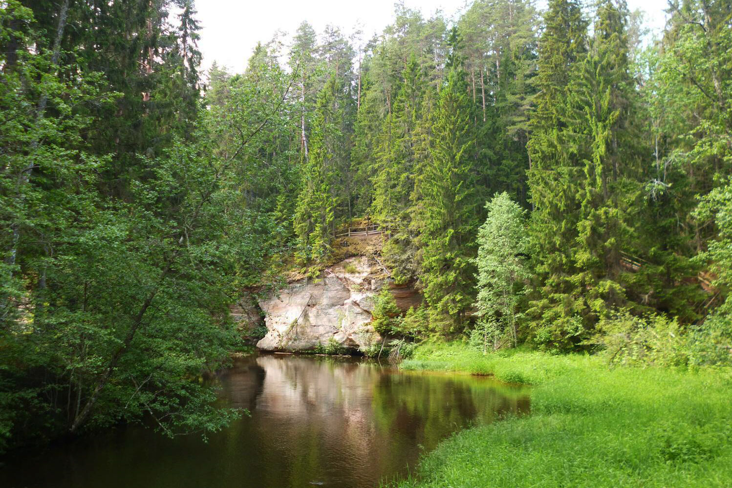 Mare Baltikum Reisen, Christine Salten, Andres Vainumäe, Individualreisen, Gruppenreisen, PKW-Rundreisen, Fahrradtouren, Naturbeobachtung, Vogelbeobachtung, Wanderreisen, Baltikum, Estland, Lettland, Litauen, Polen, Skandinavien, Schweden, Stockholm, Russland, St. Petersburg, Tallinn, Winterreisen, Finnland, Riga, Helsinki, Vilnius, Stockholm, Städtereise, Ostseekurzreisen, Norwegen, Hurtigruten, Oslo, Bergen, Ostseeurlaub, Kurische Nehrung, Memel, Klaipeda, Aktivreisen, Spezialveranstalter, Baltikum, Kaliningrader Gebiet, Königsberg, Strandurlaub, Ostseefähren, Kreuzfahrten Ostsee, Mare Baltikum, Tagesausflüge, Moorwanderung, Lappland, Skigebiet Ylläs, Flughafen Kittilä