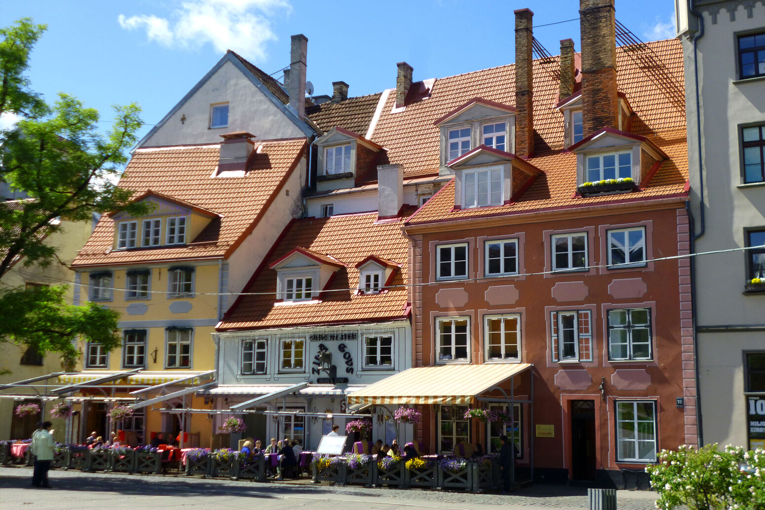 Mare Baltikum Reisen, Christine Salten, Andres Vainumäe, Individualreisen, Gruppenreisen, PKW-Rundreisen, Fahrradtouren, Naturbeobachtung, Vogelbeobachtung, Wanderreisen, Baltikum, Estland, Lettland, Litauen, Polen, Skandinavien, Schweden, Stockholm, Russland, St. Petersburg, Tallinn, Winterreisen, Finnland, Riga, Helsinki, Vilnius, Stockholm, Städtereise, Ostseekurzreisen, Norwegen, Hurtigruten, Oslo, Bergen, Ostseeurlaub, Kurische Nehrung, Memel, Klaipeda, Aktivreisen, Spezialveranstalter, Baltikum, Kaliningrader Gebiet, Königsberg, Strandurlaub, Ostseefähren, Kreuzfahrten Ostsee, Mare Baltikum, Tagesausflüge, Moorwanderung, Lappland, Skigebiet Ylläs, Flughafen Kittilä