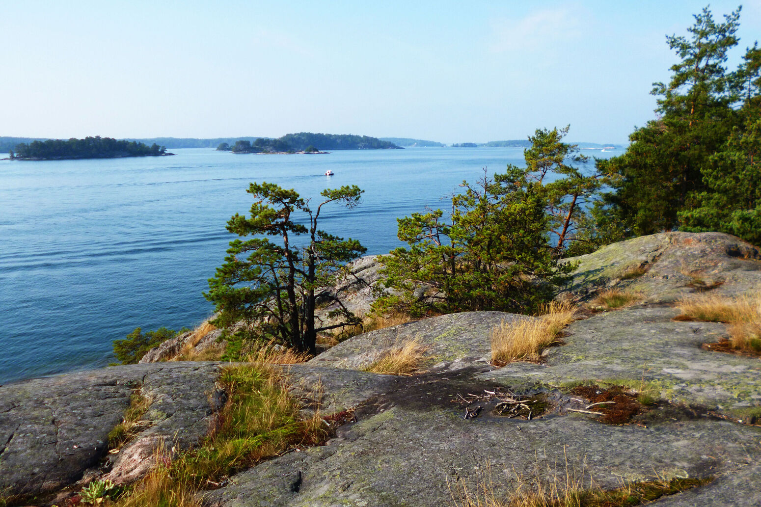 Mare Baltikum Reisen, Christine Salten, Andres Vainumäe, Individualreisen, Gruppenreisen, PKW-Rundreisen, Fahrradtouren, Naturbeobachtung, Vogelbeobachtung, Wanderreisen, Baltikum, Estland, Lettland, Litauen, Polen, Skandinavien, Schweden, Stockholm, Russland, St. Petersburg, Tallinn, Winterreisen, Finnland, Riga, Helsinki, Vilnius, Stockholm, Städtereise, Ostseekurzreisen, Norwegen, Hurtigruten, Oslo, Bergen, Ostseeurlaub, Kurische Nehrung, Memel, Klaipeda, Aktivreisen, Spezialveranstalter, Baltikum, Kaliningrader Gebiet, Königsberg, Strandurlaub, Ostseefähren, Kreuzfahrten Ostsee, Mare Baltikum, Tagesausflüge, Moorwanderung, Lappland, Skigebiet Ylläs, Flughafen Kittilä