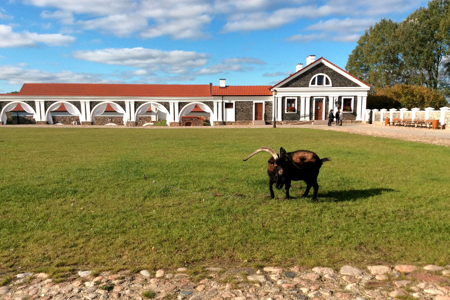 Mare Baltikum Reisen, Christine Salten, Andres Vainumäe, Individualreisen, Gruppenreisen, PKW-Rundreisen, Fahrradtouren, Naturbeobachtung, Vogelbeobachtung, Wanderreisen, Baltikum, Estland, Lettland, Litauen, Polen, Skandinavien, Schweden, Stockholm, Russland, St. Petersburg, Tallinn, Winterreisen, Finnland, Riga, Helsinki, Vilnius, Stockholm, Städtereise, Ostseekurzreisen, Norwegen, Hurtigruten, Oslo, Bergen, Ostseeurlaub, Kurische Nehrung, Memel, Klaipeda, Aktivreisen, Spezialveranstalter, Baltikum, Kaliningrader Gebiet, Königsberg, Strandurlaub, Ostseefähren, Kreuzfahrten Ostsee, Mare Baltikum, Tagesausflüge, Moorwanderung, Lappland, Skigebiet Ylläs, Flughafen Kittilä