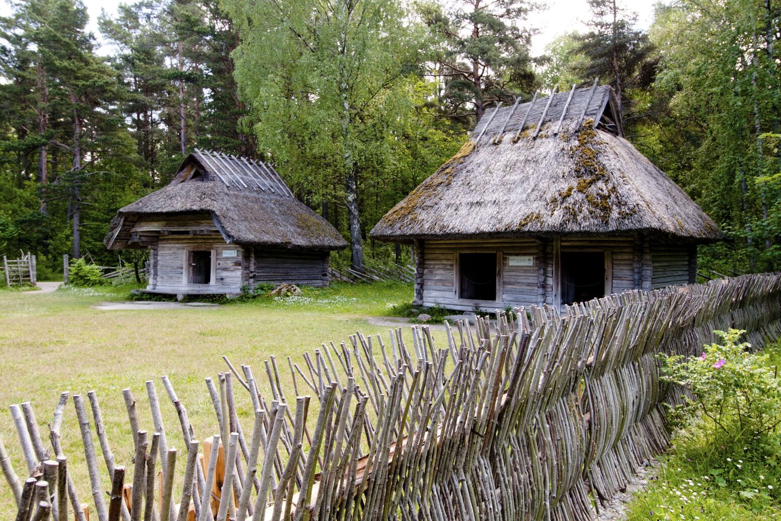 Destination, Excursion, Northern Europe, Estonia, Tallinn, Museum, Tree, Wood, Structure