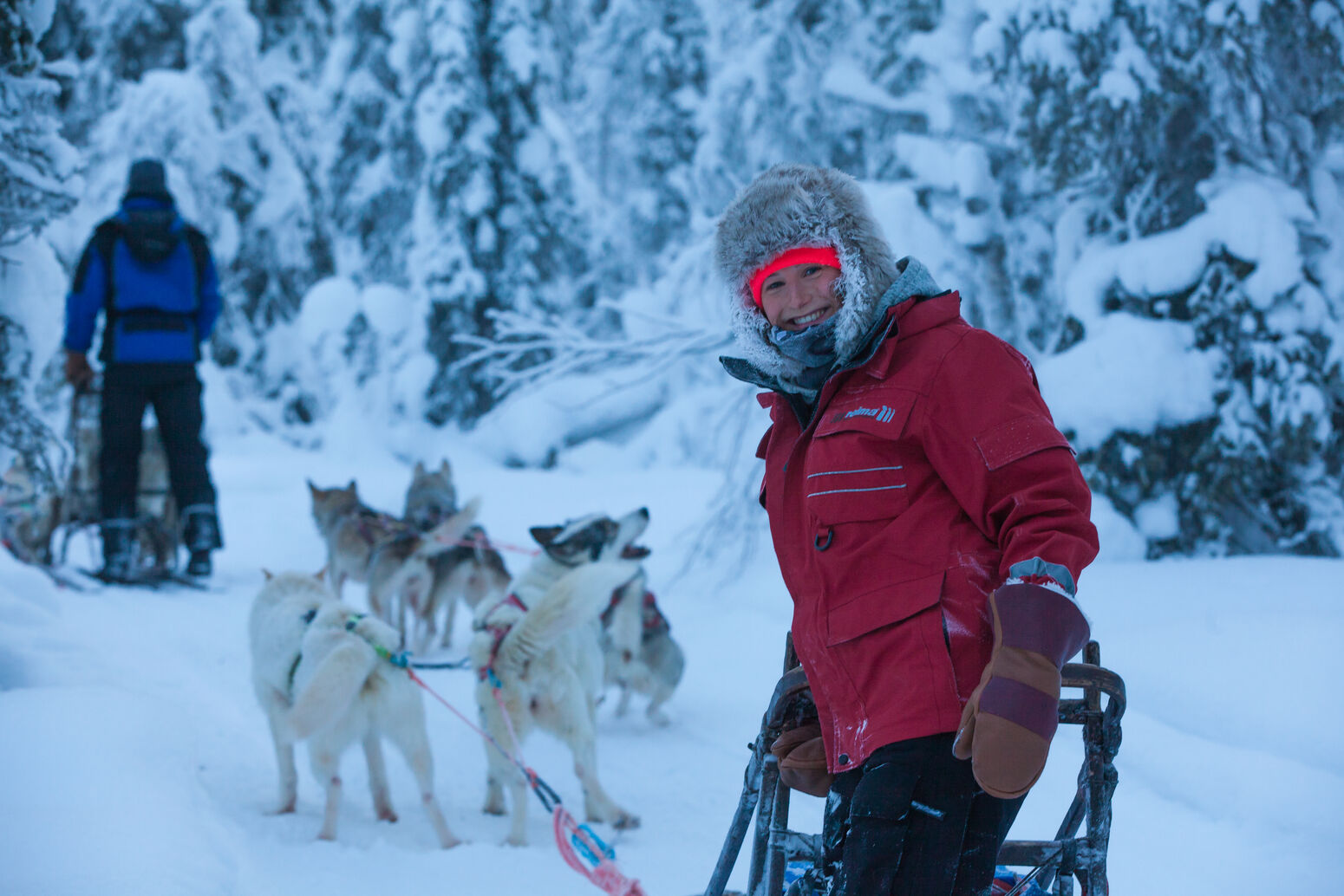 husky 2016, harriniva, antti pietikäinen