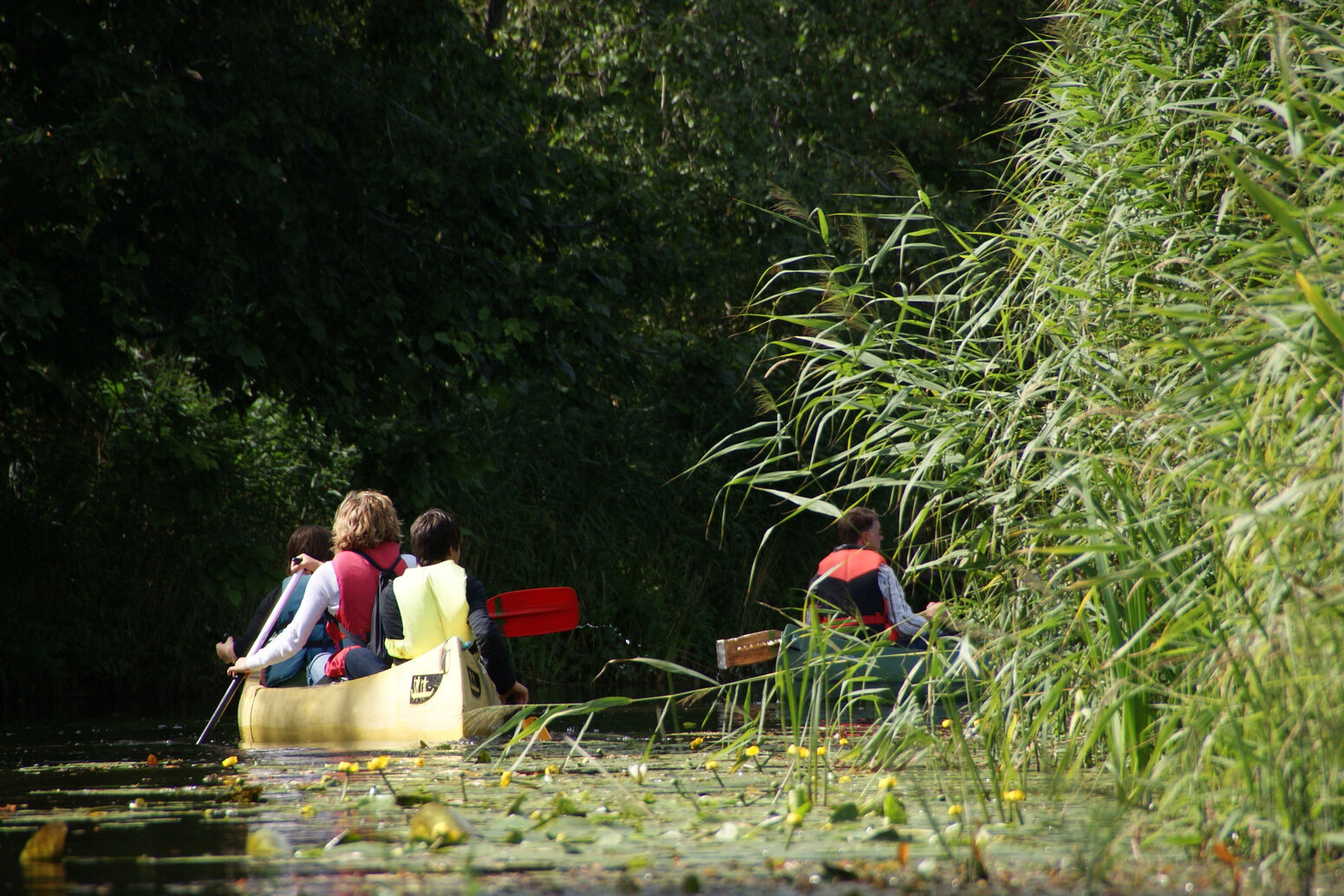 Mare Baltikum Reisen, Christine Salten, Andres Vainumäe, Individualreisen, Gruppenreisen, PKW-Rundreisen, Fahrradtouren, Naturbeobachtung, Vogelbeobachtung, Wanderreisen, Baltikum, Estland, Lettland, Litauen, Polen, Skandinavien, Schweden, Stockholm, Russland, St. Petersburg, Tallinn, Winterreisen, Finnland, Riga, Helsinki, Vilnius, Stockholm, Städtereise, Ostseekurzreisen, Norwegen, Hurtigruten, Oslo, Bergen, Ostseeurlaub, Kurische Nehrung, Memel, Klaipeda, Aktivreisen, Spezialveranstalter, Baltikum, Kaliningrader Gebiet, Königsberg, Strandurlaub, Ostseefähren, Kreuzfahrten Ostsee, Mare Baltikum, Tagesausflüge, Moorwanderung, Lappland, Skigebiet Ylläs, Flughafen Kittilä