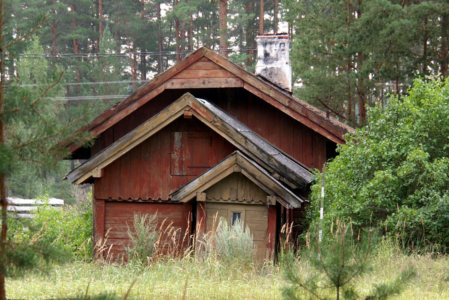 Mare Baltikum Reisen, Christine Salten, Andres Vainumäe, Individualreisen, Gruppenreisen, PKW-Rundreisen, Fahrradtouren, Naturbeobachtung, Vogelbeobachtung, Wanderreisen, Baltikum, Estland, Lettland, Litauen, Polen, Skandinavien, Schweden, Stockholm, Russland, St. Petersburg, Tallinn, Winterreisen, Finnland, Riga, Helsinki, Vilnius, Stockholm, Städtereise, Ostseekurzreisen, Norwegen, Hurtigruten, Oslo, Bergen, Ostseeurlaub, Kurische Nehrung, Memel, Klaipeda, Aktivreisen, Spezialveranstalter, Baltikum, Kaliningrader Gebiet, Königsberg, Strandurlaub, Ostseefähren, Kreuzfahrten Ostsee, Mare Baltikum, Tagesausflüge, Moorwanderung, Lappland, Skigebiet Ylläs, Flughafen Kittilä