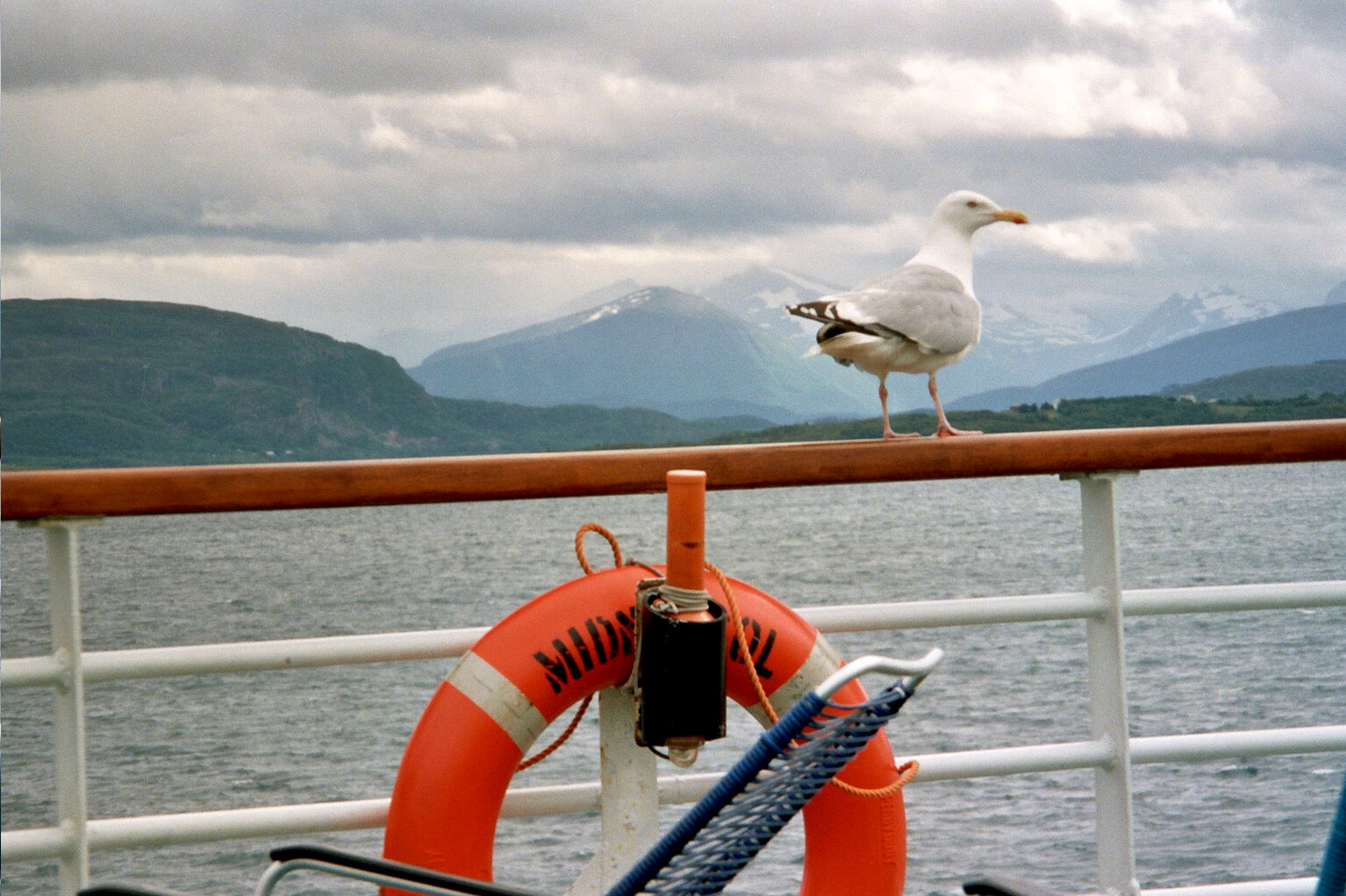 Mare Baltikum Reisen, Christine Salten, Andres Vainumäe, Individualreisen, Gruppenreisen, PKW-Rundreisen, Fahrradtouren, Naturbeobachtung, Vogelbeobachtung, Wanderreisen, Baltikum, Estland, Lettland, Litauen, Polen, Skandinavien, Schweden, Stockholm, Russland, St. Petersburg, Tallinn, Winterreisen, Finnland, Riga, Helsinki, Vilnius, Stockholm, Städtereise, Ostseekurzreisen, Norwegen, Hurtigruten, Oslo, Bergen, Ostseeurlaub, Kurische Nehrung, Memel, Klaipeda, Aktivreisen, Spezialveranstalter, Baltikum, Kaliningrader Gebiet, Königsberg, Strandurlaub, Ostseefähren, Kreuzfahrten Ostsee, Mare Baltikum, Tagesausflüge, Moorwanderung, Lappland, Skigebiet Ylläs, Flughafen Kittilä