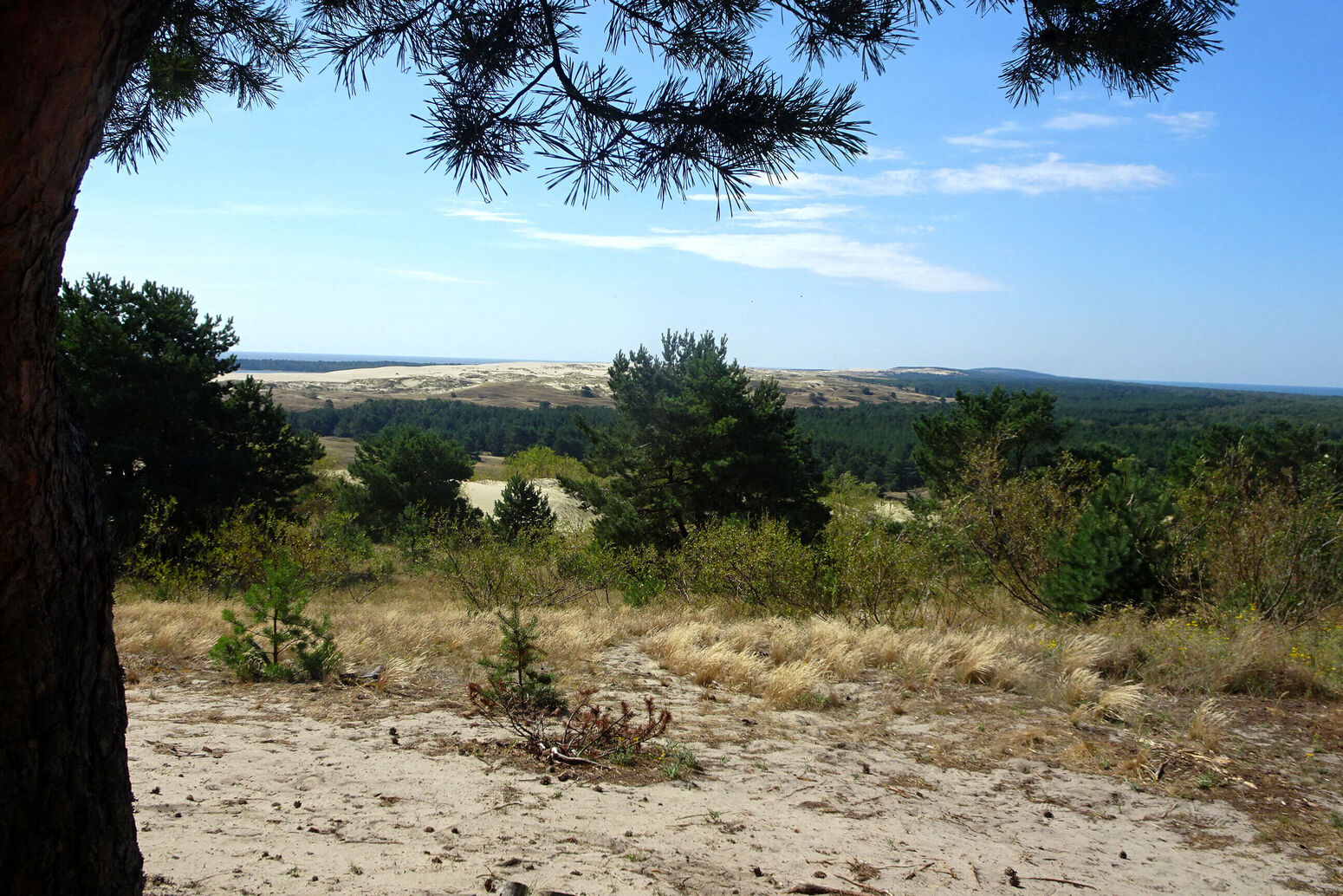 Mare Baltikum Reisen, Litauen, Klaipeda, Kurische Nehrung, Nida, Juodkrante, DFDS-Fähre, Kiel, Klaipeda, Bernstein, Thomas Mann, Hexenberg