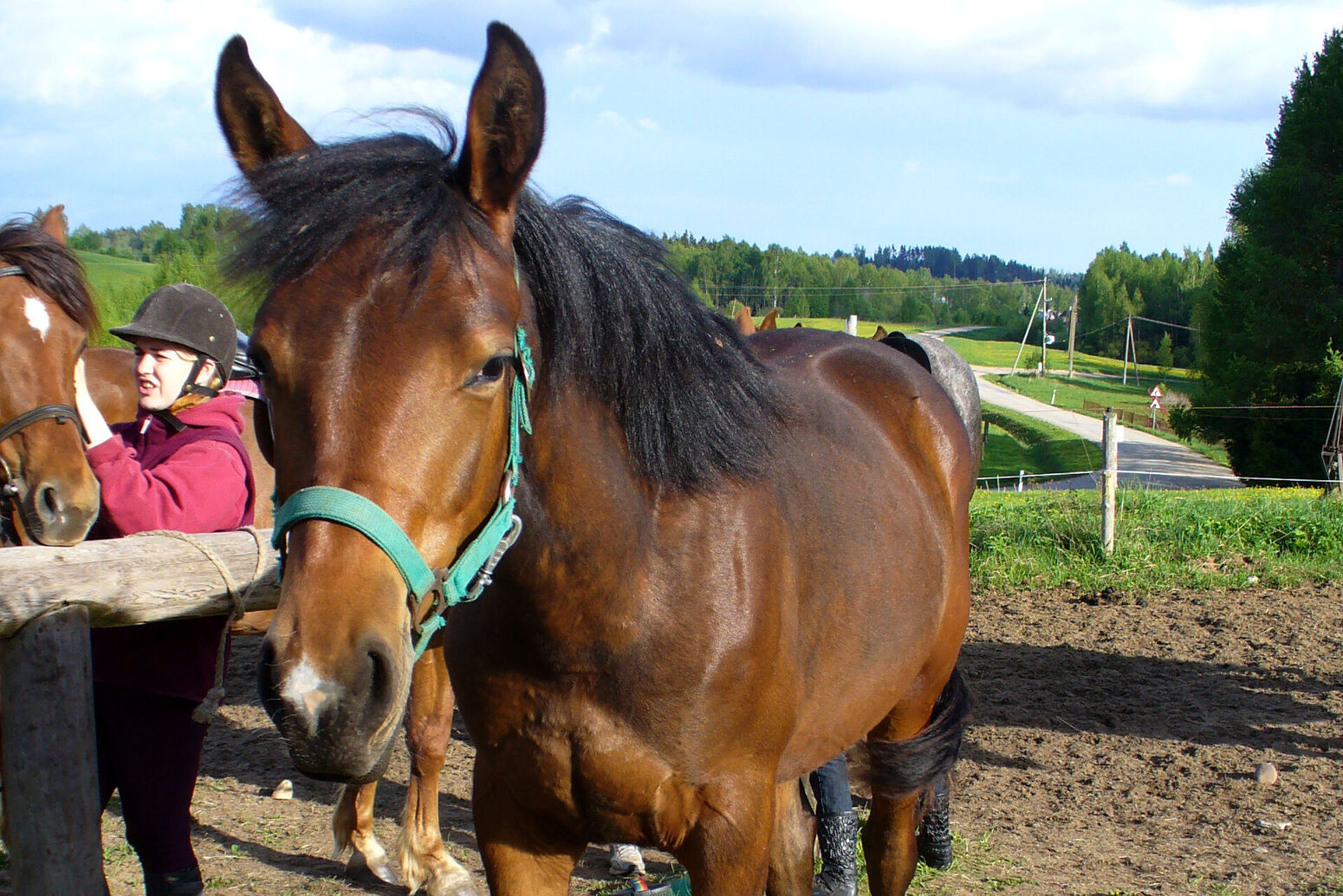 Mare Baltikum Reisen, Christine Salten, Andres Vainumäe, Individualreisen, Gruppenreisen, PKW-Rundreisen, Fahrradtouren, Naturbeobachtung, Vogelbeobachtung, Wanderreisen, Baltikum, Estland, Lettland, Litauen, Polen, Skandinavien, Schweden, Stockholm, Russland, St. Petersburg, Tallinn, Winterreisen, Finnland, Riga, Helsinki, Vilnius, Stockholm, Städtereise, Ostseekurzreisen, Norwegen, Hurtigruten, Oslo, Bergen, Ostseeurlaub, Kurische Nehrung, Memel, Klaipeda, Aktivreisen, Spezialveranstalter, Baltikum, Kaliningrader Gebiet, Königsberg, Strandurlaub, Ostseefähren, Kreuzfahrten Ostsee, Mare Baltikum, Tagesausflüge, Moorwanderung, Lappland, Skigebiet Ylläs, Flughafen Kittilä