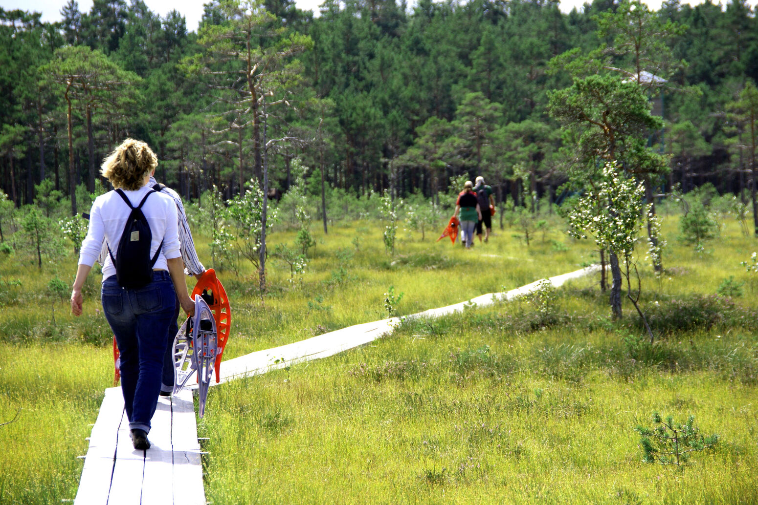 Mare Baltikum Reisen, Christine Salten, Andres Vainumäe, Individualreisen, Gruppenreisen, PKW-Rundreisen, Fahrradtouren, Naturbeobachtung, Vogelbeobachtung, Wanderreisen, Baltikum, Estland, Lettland, Litauen, Polen, Skandinavien, Schweden, Stockholm, Russland, St. Petersburg, Tallinn, Winterreisen, Finnland, Riga, Helsinki, Vilnius, Stockholm, Städtereise, Ostseekurzreisen, Norwegen, Hurtigruten, Oslo, Bergen, Ostseeurlaub, Kurische Nehrung, Memel, Klaipeda, Aktivreisen, Spezialveranstalter, Baltikum, Kaliningrader Gebiet, Königsberg, Strandurlaub, Ostseefähren, Kreuzfahrten Ostsee, Mare Baltikum, Tagesausflüge, Moorwanderung, Lappland, Skigebiet Ylläs, Flughafen Kittilä