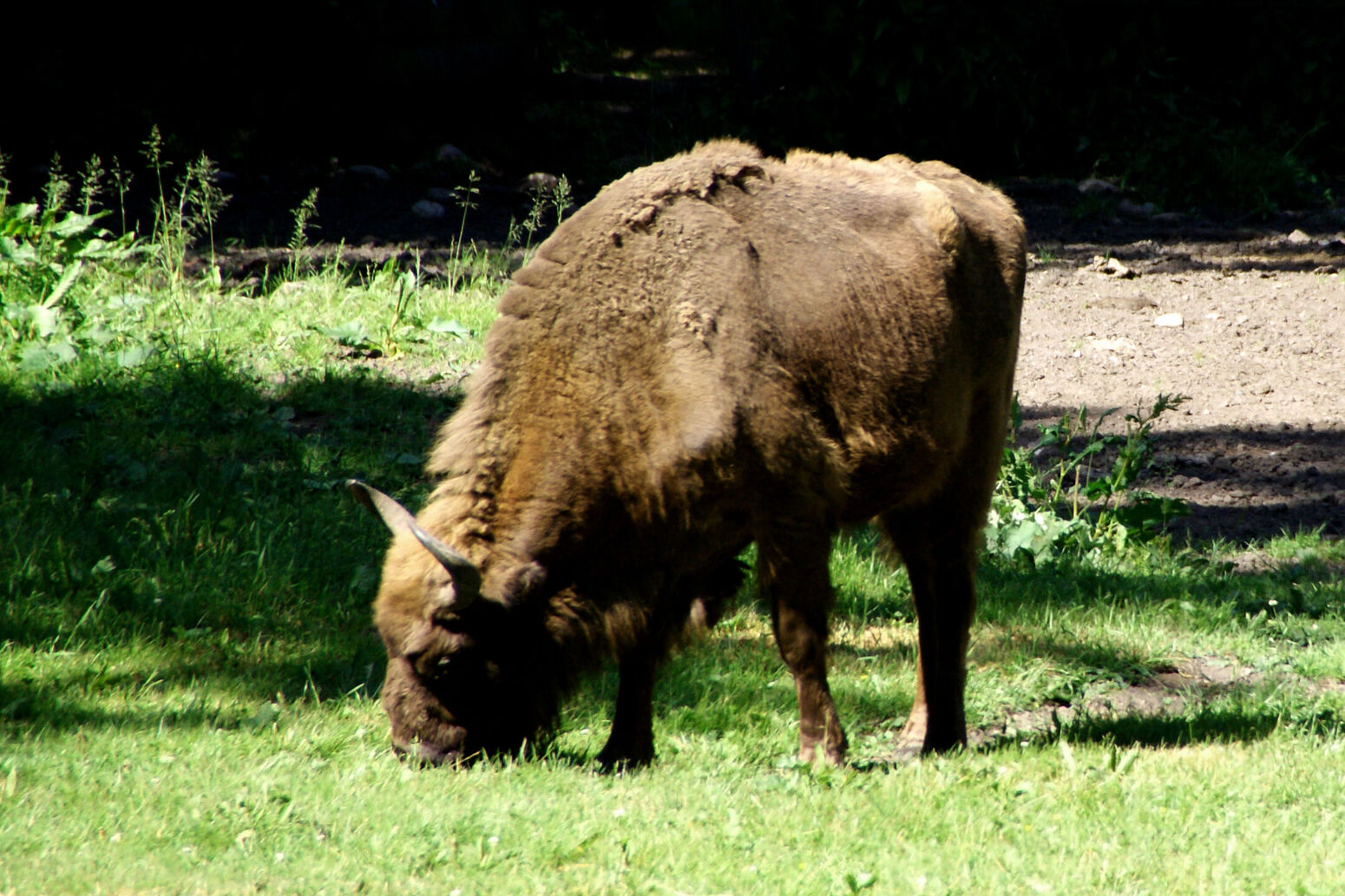 Mare Baltikum Reisen, Christine Salten, Andres Vainumäe, Individualreisen, Gruppenreisen, PKW-Rundreisen, Fahrradtouren, Naturbeobachtung, Vogelbeobachtung, Wanderreisen, Baltikum, Estland, Lettland, Litauen, Polen, Skandinavien, Schweden, Stockholm, Russland, St. Petersburg, Tallinn, Winterreisen, Finnland, Riga, Helsinki, Vilnius, Stockholm, Städtereise, Ostseekurzreisen, Norwegen, Hurtigruten, Oslo, Bergen, Ostseeurlaub, Kurische Nehrung, Memel, Klaipeda, Aktivreisen, Spezialveranstalter, Baltikum, Kaliningrader Gebiet, Königsberg, Strandurlaub, Ostseefähren, Kreuzfahrten Ostsee, Mare Baltikum, Tagesausflüge, Moorwanderung, Lappland, Skigebiet Ylläs, Flughafen Kittilä