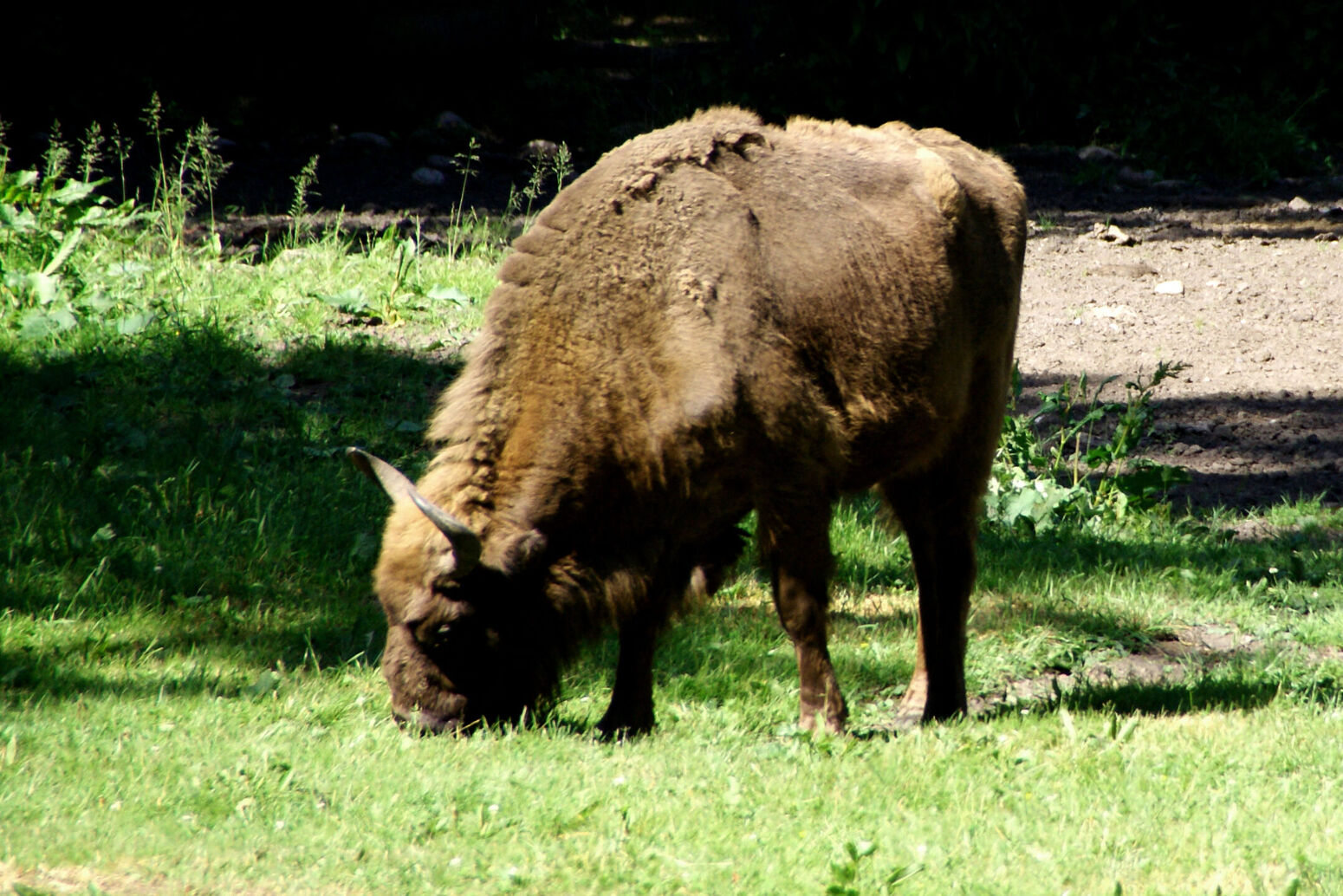 Mare Baltikum Reisen, Christine Salten, Andres Vainumäe, Individualreisen, Gruppenreisen, PKW-Rundreisen, Fahrradtouren, Naturbeobachtung, Vogelbeobachtung, Wanderreisen, Baltikum, Estland, Lettland, Litauen, Polen, Skandinavien, Schweden, Stockholm, Russland, St. Petersburg, Tallinn, Winterreisen, Finnland, Riga, Helsinki, Vilnius, Stockholm, Städtereise, Ostseekurzreisen, Norwegen, Hurtigruten, Oslo, Bergen, Ostseeurlaub, Kurische Nehrung, Memel, Klaipeda, Aktivreisen, Spezialveranstalter, Baltikum, Kaliningrader Gebiet, Königsberg, Strandurlaub, Ostseefähren, Kreuzfahrten Ostsee, Mare Baltikum, Tagesausflüge, Moorwanderung, Lappland, Skigebiet Ylläs, Flughafen Kittilä