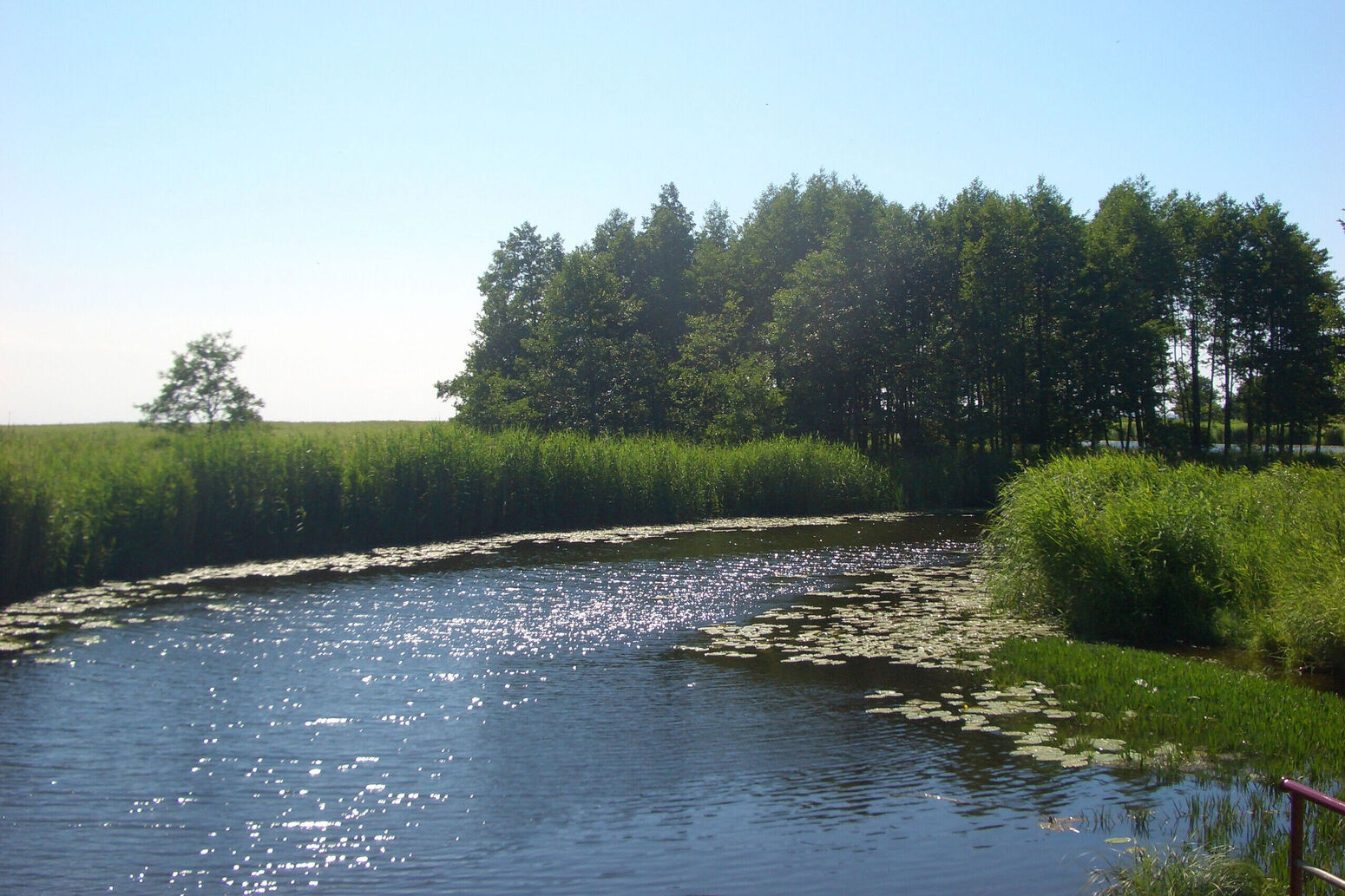 Mare Baltikum Reisen