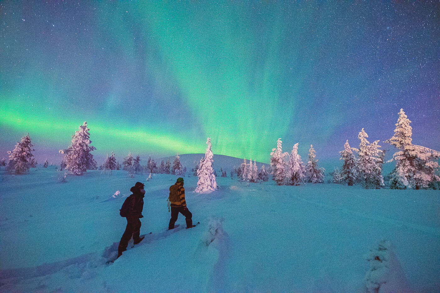 antti pietikäinen, harriniva, harriniva 2017, pallas 2017, snowshoe