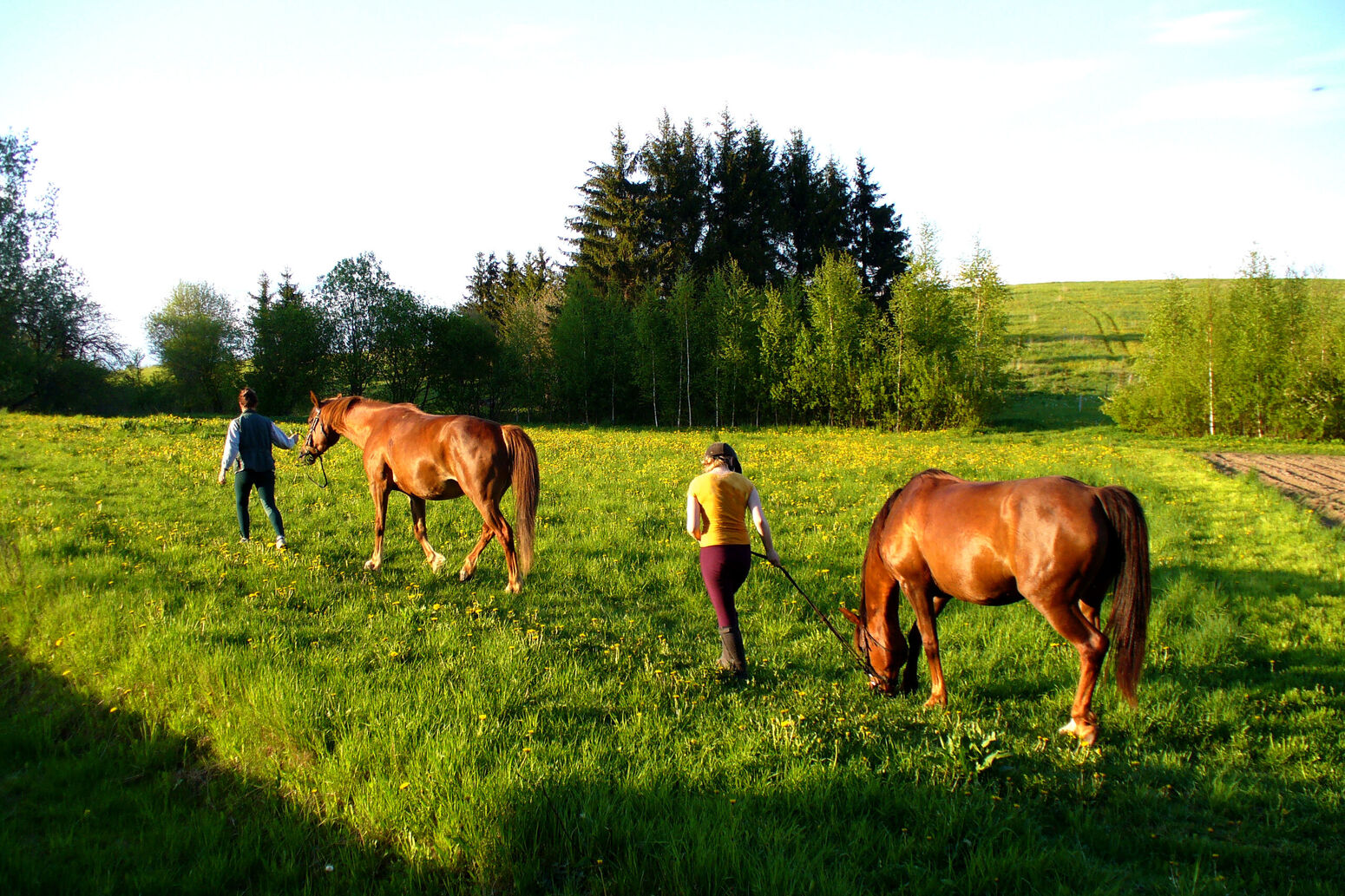 Mare Baltikum Reisen, Christine Salten, Andres Vainumäe, Individualreisen, Gruppenreisen, PKW-Rundreisen, Fahrradtouren, Naturbeobachtung, Vogelbeobachtung, Wanderreisen, Baltikum, Estland, Lettland, Litauen, Polen, Skandinavien, Schweden, Stockholm, Russland, St. Petersburg, Tallinn, Winterreisen, Finnland, Riga, Helsinki, Vilnius, Stockholm, Städtereise, Ostseekurzreisen, Norwegen, Hurtigruten, Oslo, Bergen, Ostseeurlaub, Kurische Nehrung, Memel, Klaipeda, Aktivreisen, Spezialveranstalter, Baltikum, Kaliningrader Gebiet, Königsberg, Strandurlaub, Ostseefähren, Kreuzfahrten Ostsee, Mare Baltikum, Tagesausflüge, Moorwanderung, Lappland, Skigebiet Ylläs, Flughafen Kittilä