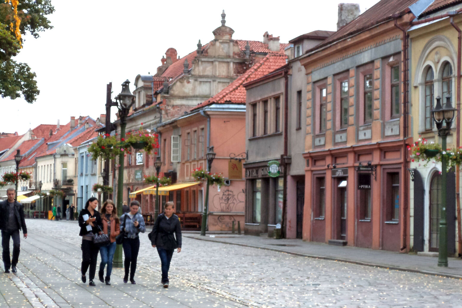 Mare Baltikum Reisen, Christine Salten, Andres Vainumäe, Individualreisen, Gruppenreisen, PKW-Rundreisen, Fahrradtouren, Naturbeobachtung, Vogelbeobachtung, Wanderreisen, Baltikum, Estland, Lettland, Litauen, Polen, Skandinavien, Schweden, Stockholm, Russland, St. Petersburg, Tallinn, Winterreisen, Finnland, Riga, Helsinki, Vilnius, Stockholm, Städtereise, Ostseekurzreisen, Norwegen, Hurtigruten, Oslo, Bergen, Ostseeurlaub, Kurische Nehrung, Memel, Klaipeda, Aktivreisen, Spezialveranstalter, Baltikum, Kaliningrader Gebiet, Königsberg, Strandurlaub, Ostseefähren, Kreuzfahrten Ostsee, Mare Baltikum, Tagesausflüge, Moorwanderung, Lappland, Skigebiet Ylläs, Flughafen Kittilä