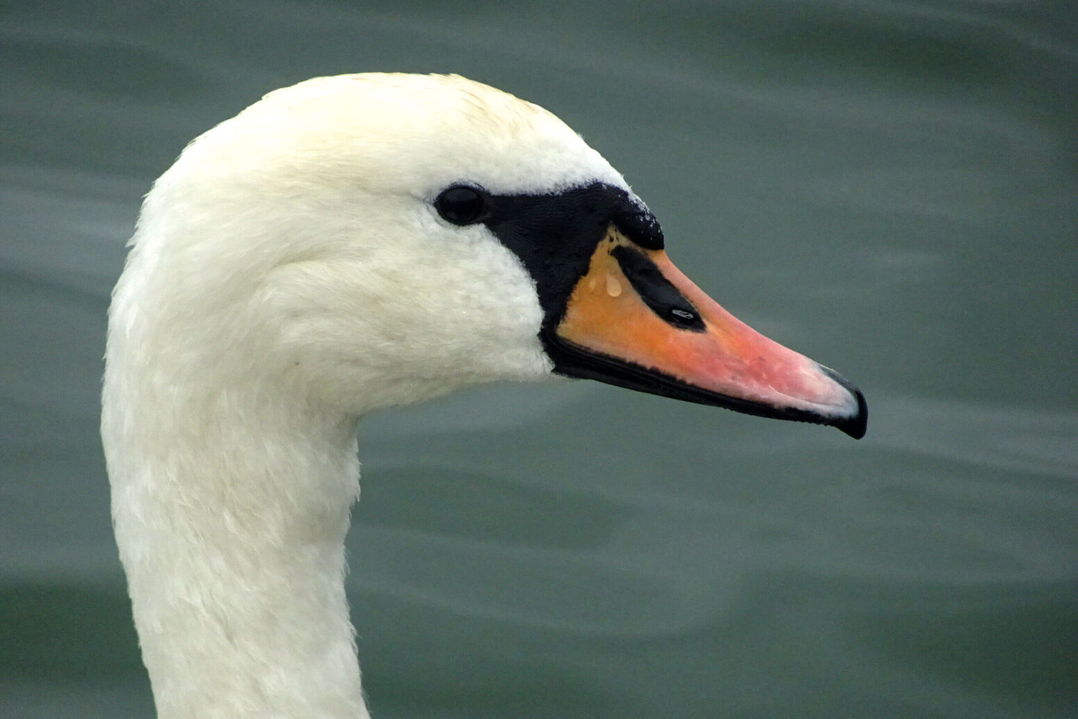 Mare Baltikum Reisen