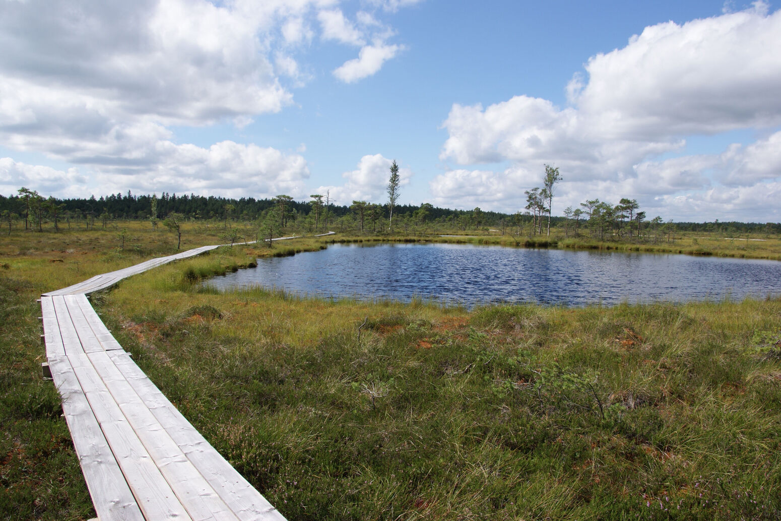 Mare Baltikum Reisen, Christine Salten, Andres Vainumäe, Individualreisen, Gruppenreisen, PKW-Rundreisen, Fahrradtouren, Naturbeobachtung, Vogelbeobachtung, Wanderreisen, Baltikum, Estland, Lettland, Litauen, Polen, Skandinavien, Schweden, Stockholm, Russland, St. Petersburg, Tallinn, Winterreisen, Finnland, Riga, Helsinki, Vilnius, Stockholm, Städtereise, Ostseekurzreisen, Norwegen, Hurtigruten, Oslo, Bergen, Ostseeurlaub, Kurische Nehrung, Memel, Klaipeda, Aktivreisen, Spezialveranstalter, Baltikum, Kaliningrader Gebiet, Königsberg, Strandurlaub, Ostseefähren, Kreuzfahrten Ostsee, Mare Baltikum, Tagesausflüge, Moorwanderung, Lappland, Skigebiet Ylläs, Flughafen Kittilä