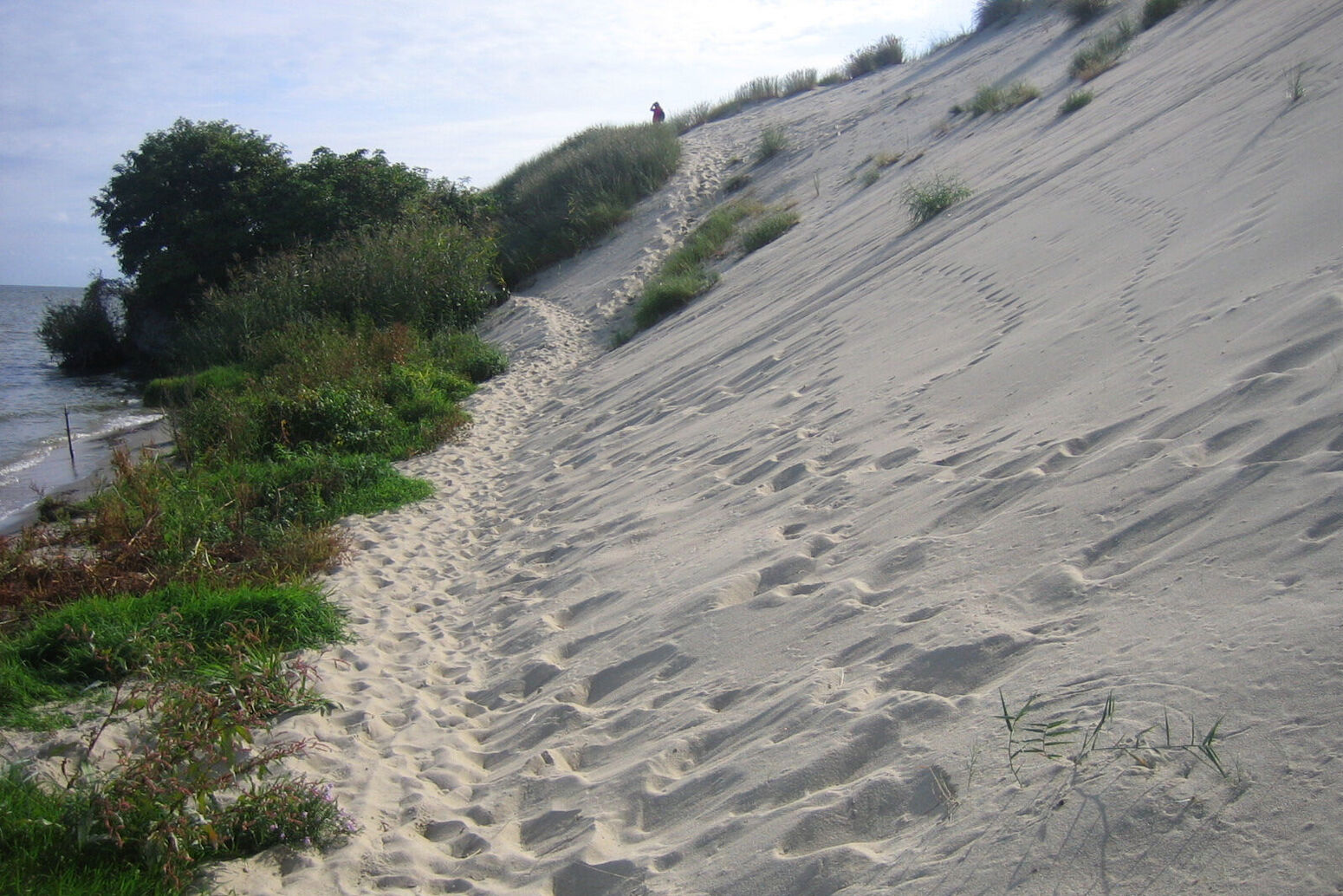 Mare Baltikum Reisen, Litauen, Klaipeda, DFDS-Fähre, Kiel, Klaipeda, Bernstein, Thomas Mann, Hexenberg, Wandern, Fahrrad fahren, Vogelbeobachtung, Memeldelta, Windenburger Eck, Vente, Silute, Rusne, Memeländer