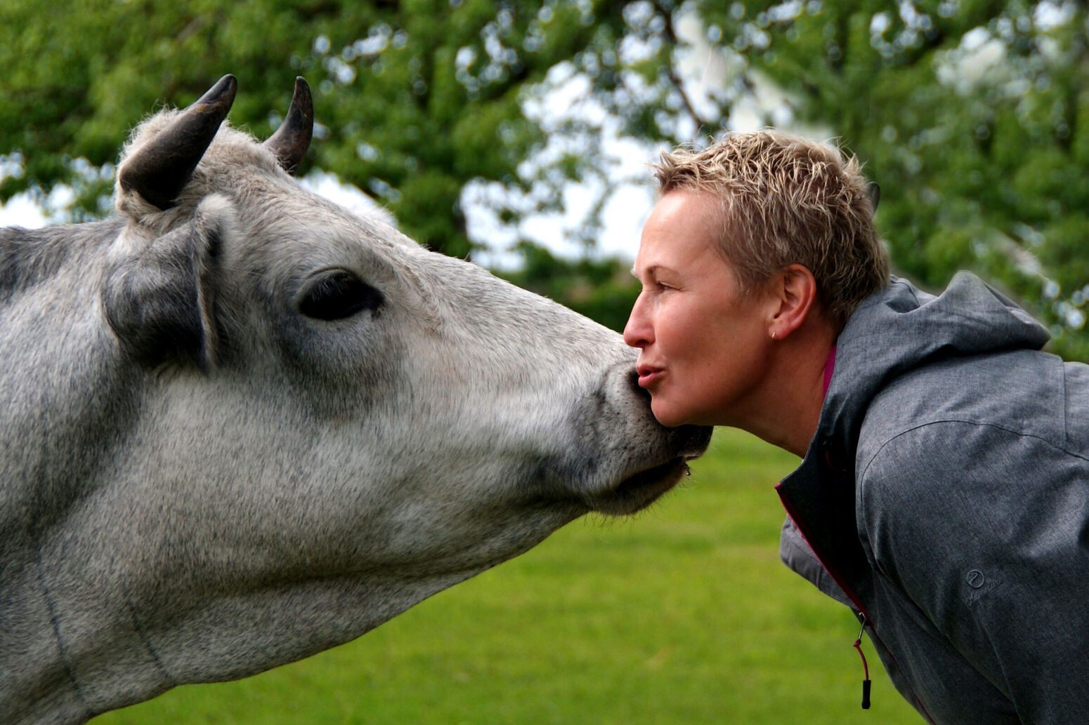 Mare Baltikum Reisen, Christine Salten, Andres Vainumäe, Individualreisen, Gruppenreisen, PKW-Rundreisen, Fahrradtouren, Naturbeobachtung, Vogelbeobachtung, Wanderreisen, Baltikum, Estland, Lettland, Litauen, Polen, Skandinavien, Schweden, Stockholm, Russland, St. Petersburg, Tallinn, Winterreisen, Finnland, Riga, Helsinki, Vilnius, Stockholm, Städtereise, Ostseekurzreisen, Norwegen, Hurtigruten, Oslo, Bergen, Ostseeurlaub, Kurische Nehrung, Memel, Klaipeda, Aktivreisen, Spezialveranstalter, Baltikum, Kaliningrader Gebiet, Königsberg, Strandurlaub, Ostseefähren, Kreuzfahrten Ostsee, Mare Baltikum, Tagesausflüge, Moorwanderung, Lappland, Skigebiet Ylläs, Flughafen Kittilä