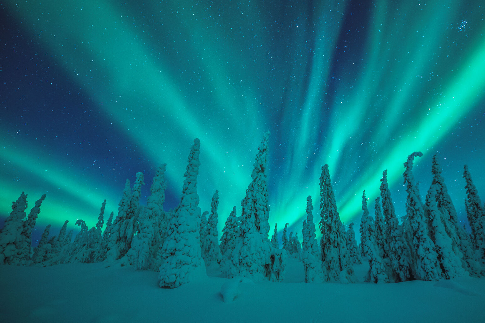 antti pietikäinen, aurora borealis, aurora borealis 2017, harriniva, magic aurora bus, pallas 2017, winter 2017