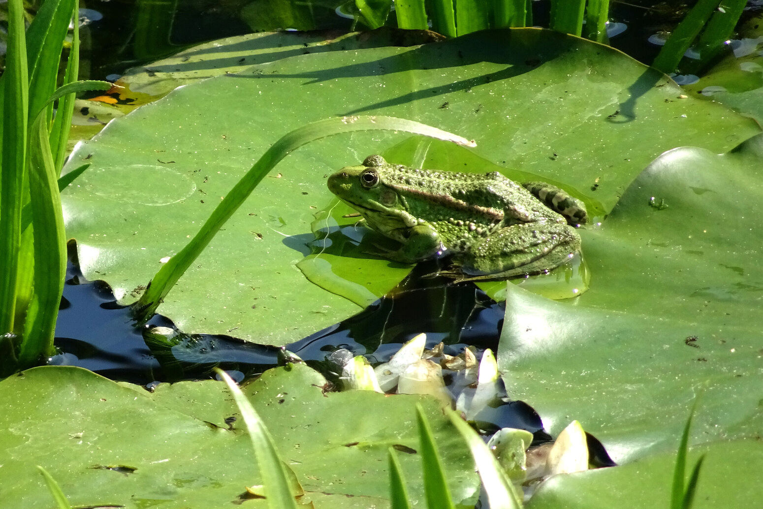 Mare Baltikum Reisen