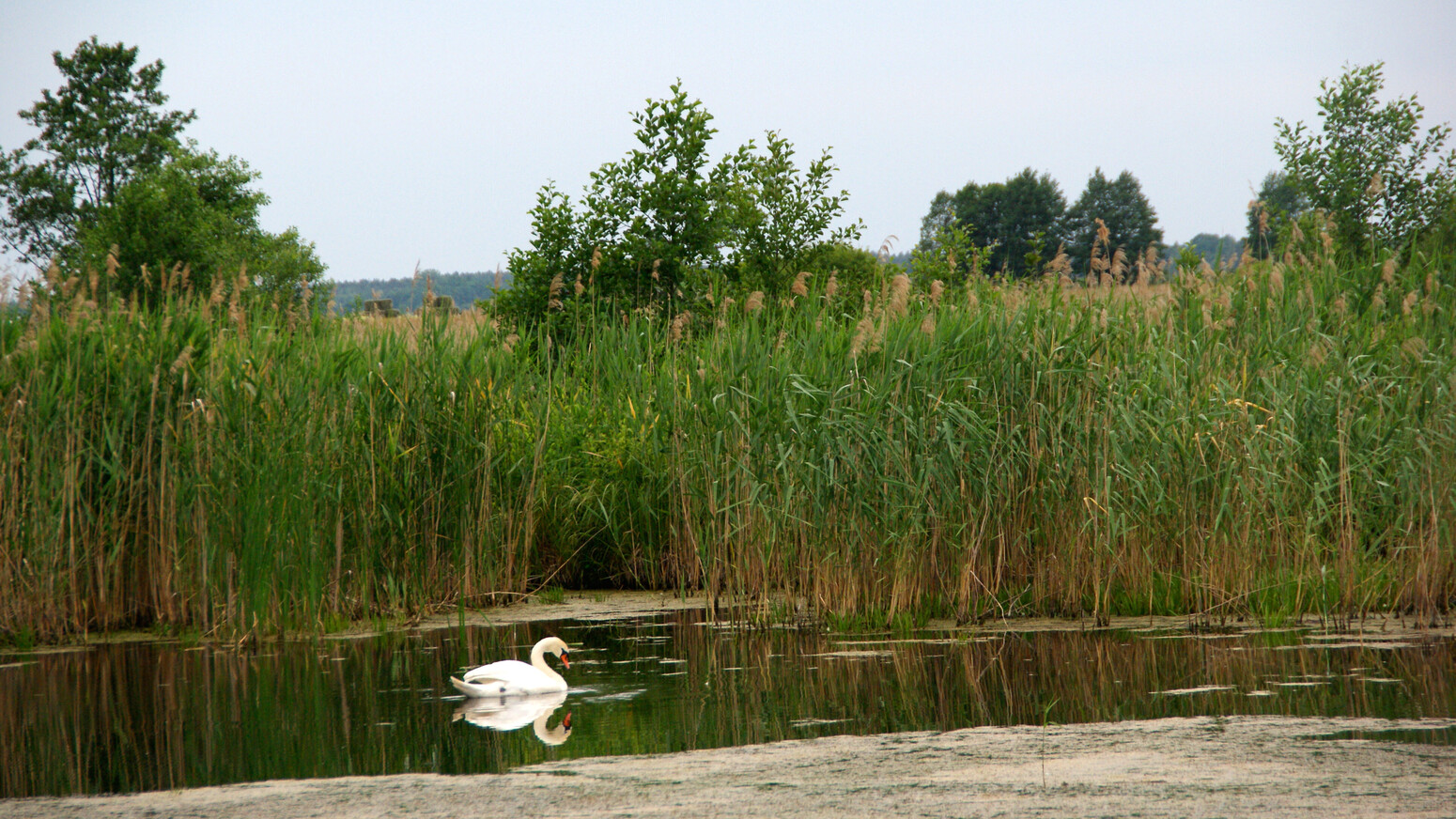 Mare Baltikum Reisen, Christine Salten, Andres Vainumäe, Individualreisen, Gruppenreisen, PKW-Rundreisen, Fahrradtouren, Naturbeobachtung, Vogelbeobachtung, Wanderreisen, Baltikum, Estland, Lettland, Litauen, Polen, Skandinavien, Schweden, Stockholm, Russland, St. Petersburg, Tallinn, Winterreisen, Finnland, Riga, Helsinki, Vilnius, Stockholm, Städtereise, Ostseekurzreisen, Norwegen, Hurtigruten, Oslo, Bergen, Ostseeurlaub, Kurische Nehrung, Memel, Klaipeda, Aktivreisen, Spezialveranstalter, Baltikum, Kaliningrader Gebiet, Königsberg, Strandurlaub, Ostseefähren, Kreuzfahrten Ostsee, Mare Baltikum, Tagesausflüge, Moorwanderung, Lappland, Skigebiet Ylläs, Flughafen Kittilä
