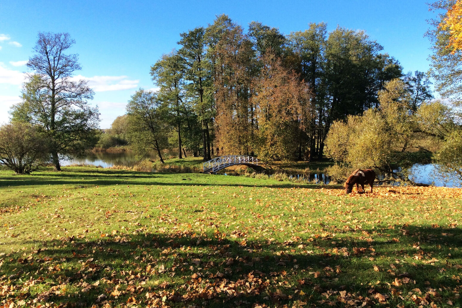 Mare Baltikum Reisen, Christine Salten, Andres Vainumäe, Individualreisen, Gruppenreisen, PKW-Rundreisen, Fahrradtouren, Naturbeobachtung, Vogelbeobachtung, Wanderreisen, Baltikum, Estland, Lettland, Litauen, Polen, Skandinavien, Schweden, Stockholm, Russland, St. Petersburg, Tallinn, Winterreisen, Finnland, Riga, Helsinki, Vilnius, Stockholm, Städtereise, Ostseekurzreisen, Norwegen, Hurtigruten, Oslo, Bergen, Ostseeurlaub, Kurische Nehrung, Memel, Klaipeda, Aktivreisen, Spezialveranstalter, Baltikum, Kaliningrader Gebiet, Königsberg, Strandurlaub, Ostseefähren, Kreuzfahrten Ostsee, Mare Baltikum, Tagesausflüge, Moorwanderung, Lappland, Skigebiet Ylläs, Flughafen Kittilä