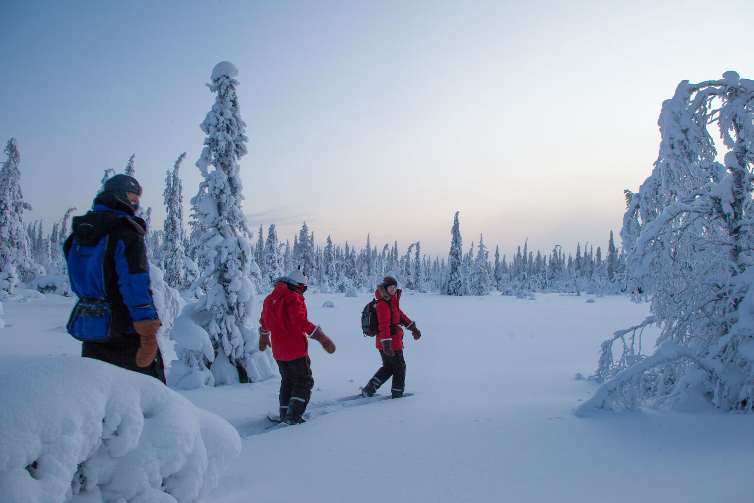 harriniva 2016, pallas 2016, snowshoe 2016