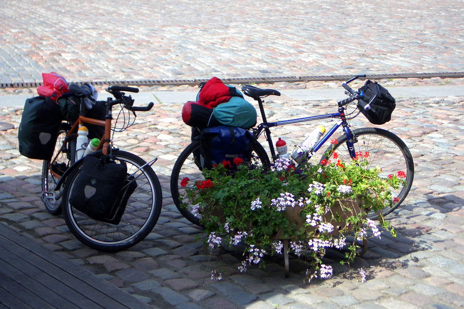 Mare Baltikum Reisen, Christine Salten, Andres Vainumäe, Individualreisen, Gruppenreisen, PKW-Rundreisen, Fahrradtouren, Naturbeobachtung, Vogelbeobachtung, Wanderreisen, Baltikum, Estland, Lettland, Litauen, Polen, Skandinavien, Schweden, Stockholm, Russland, St. Petersburg, Tallinn, Winterreisen, Finnland, Riga, Helsinki, Vilnius, Stockholm, Städtereise, Ostseekurzreisen, Norwegen, Hurtigruten, Oslo, Bergen, Ostseeurlaub, Kurische Nehrung, Memel, Klaipeda, Aktivreisen, Spezialveranstalter, Baltikum, Kaliningrader Gebiet, Königsberg, Strandurlaub, Ostseefähren, Kreuzfahrten Ostsee, Mare Baltikum, Tagesausflüge, Moorwanderung, Lappland, Skigebiet Ylläs, Flughafen Kittilä